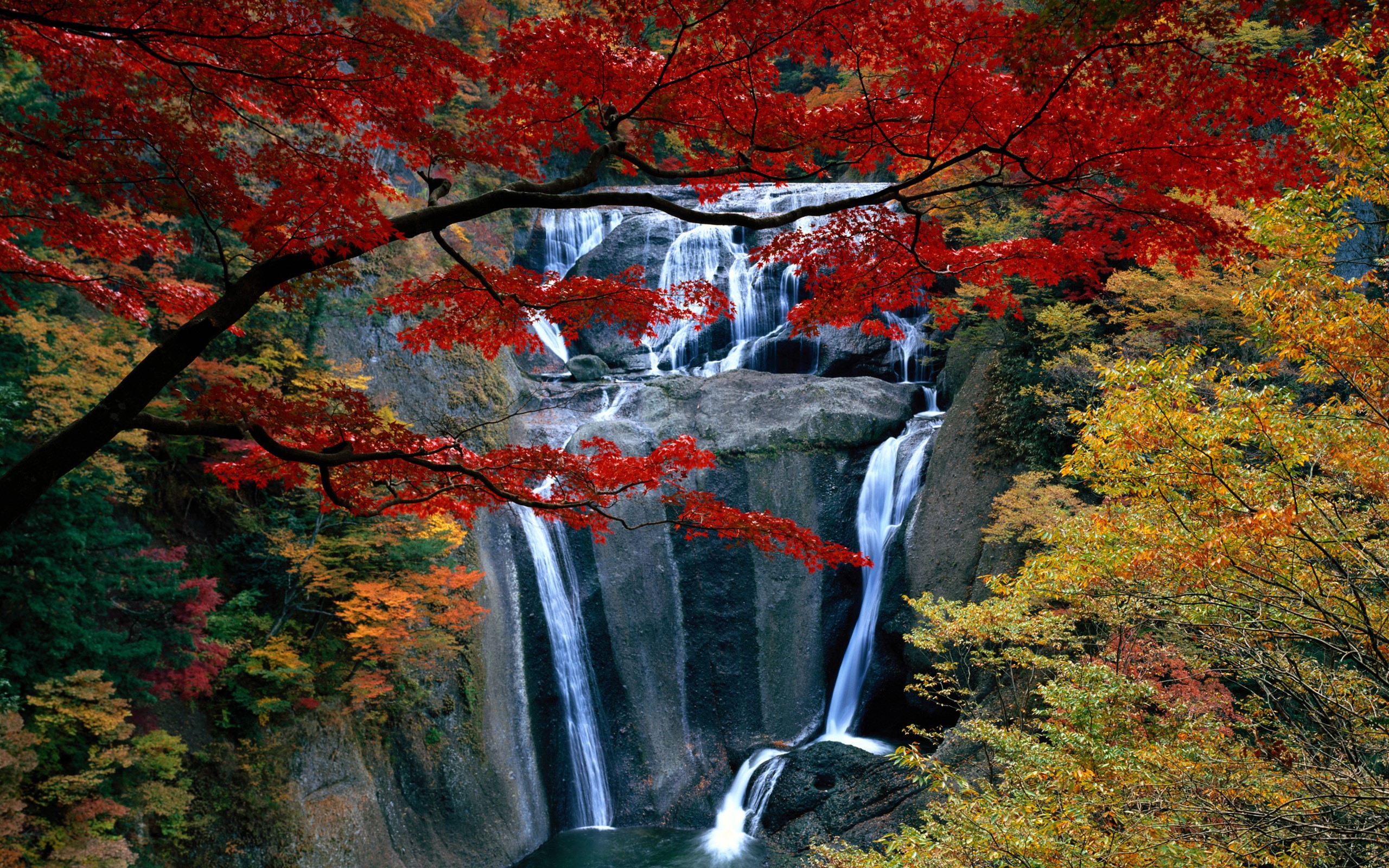 Waterfall in Japan with Red Maple Leaves in Fall HD Wallpaper