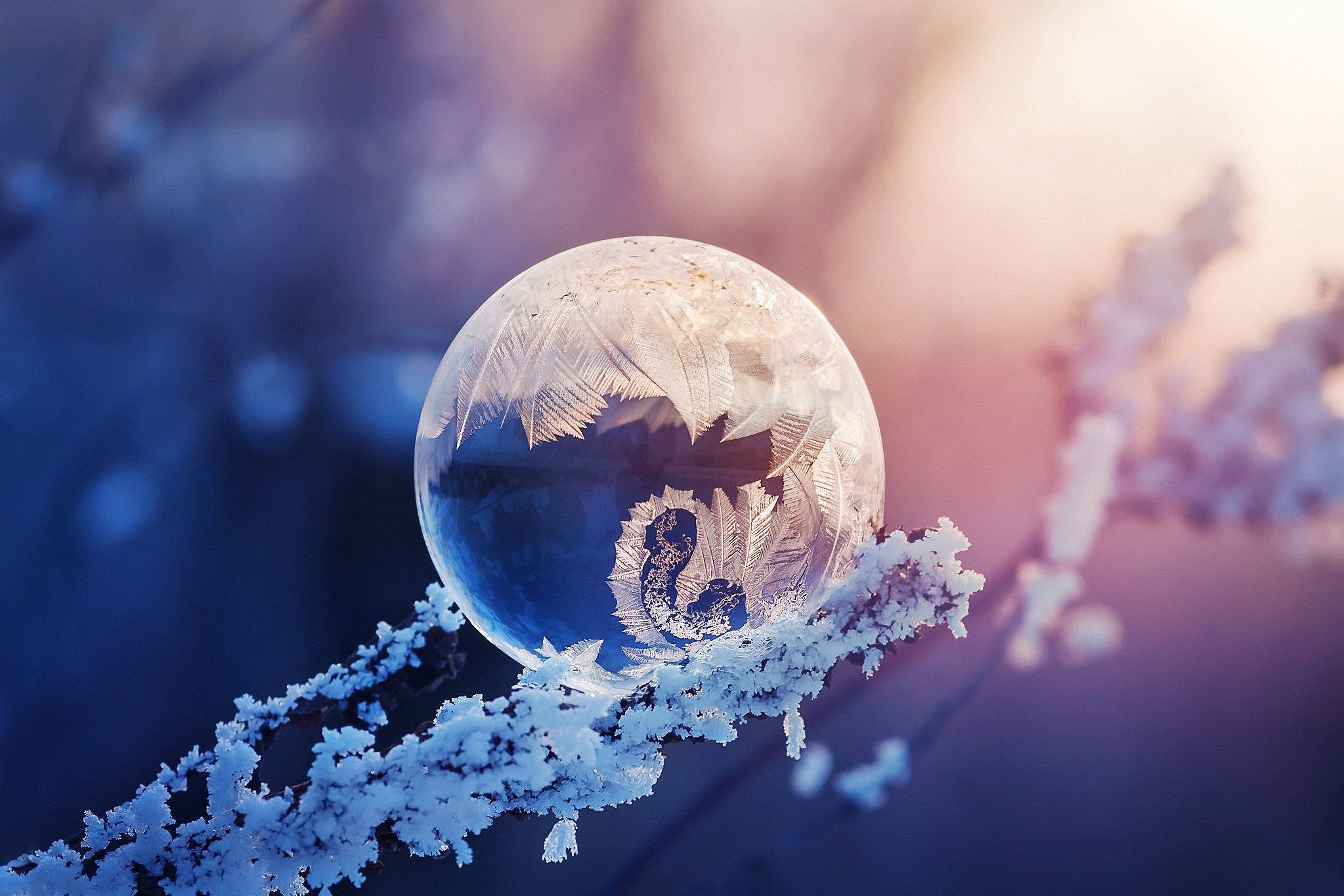 Frozen bubble on a frosty branch in winter HD Wallpaper