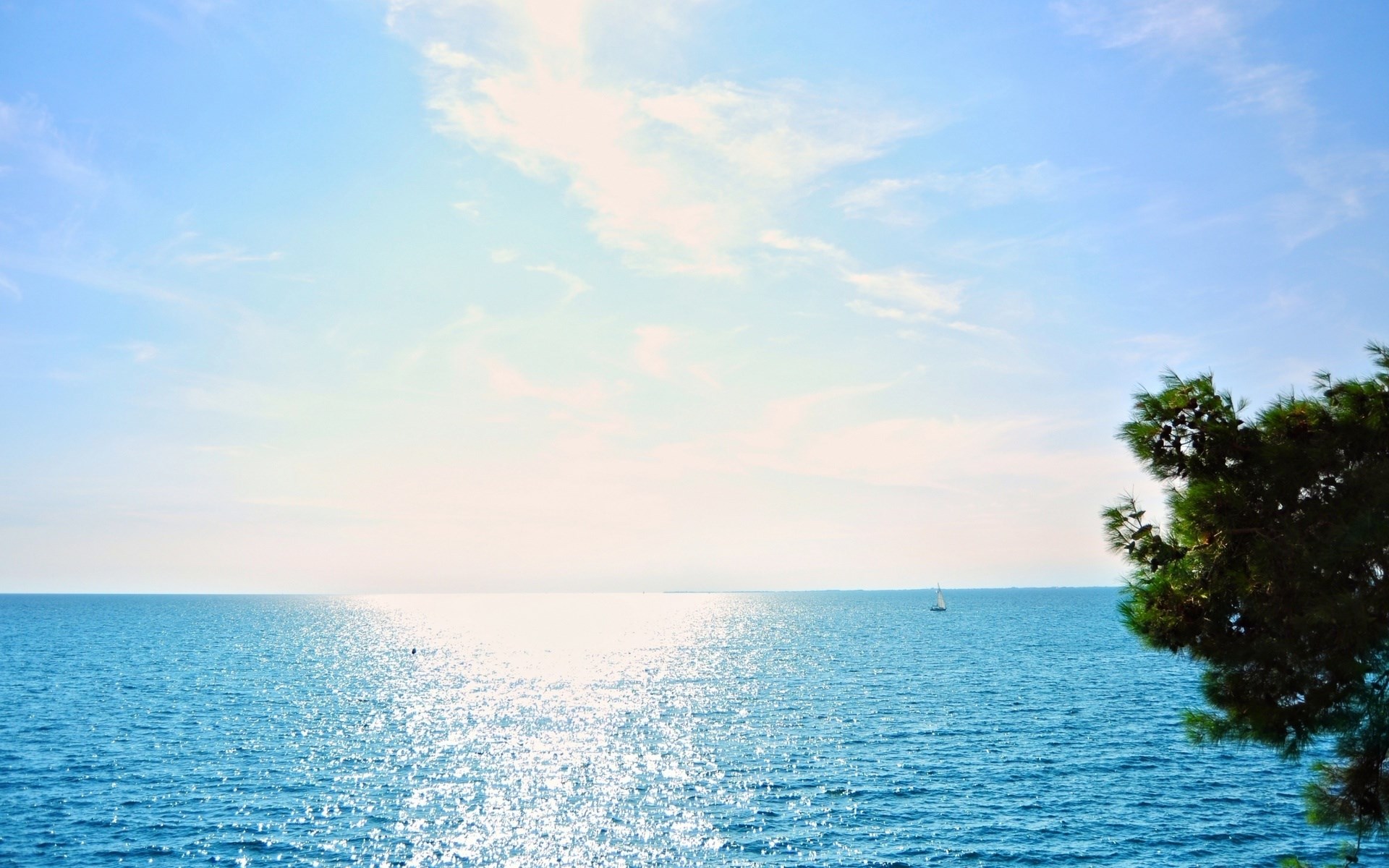 Sailboat on the ocean with a tree in the foreground HD Wallpaper