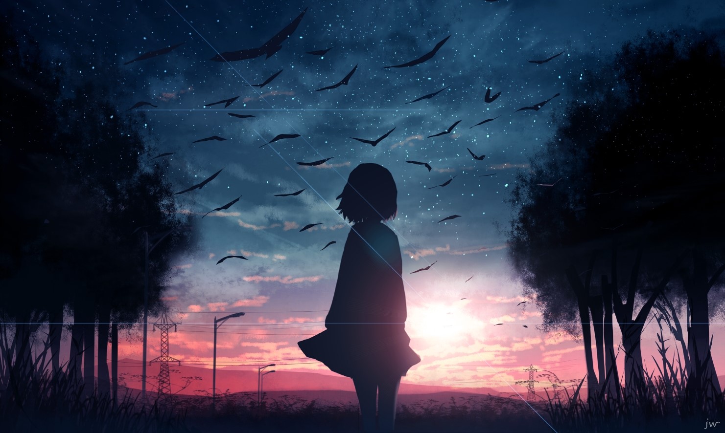 Anime girl silhouetted against a starry sky with birds HD Wallpaper