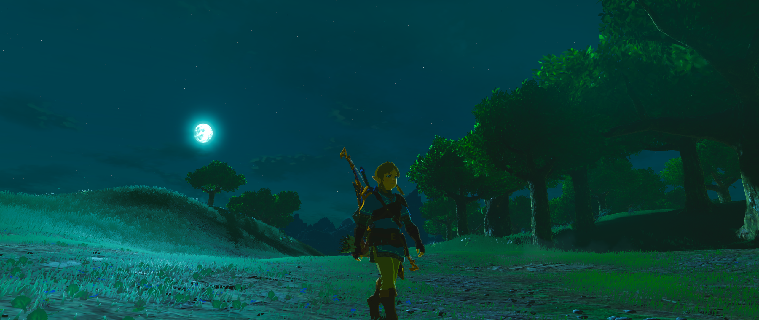 Link from The Legend of Zelda: Breath of the Wild at night HD Wallpaper