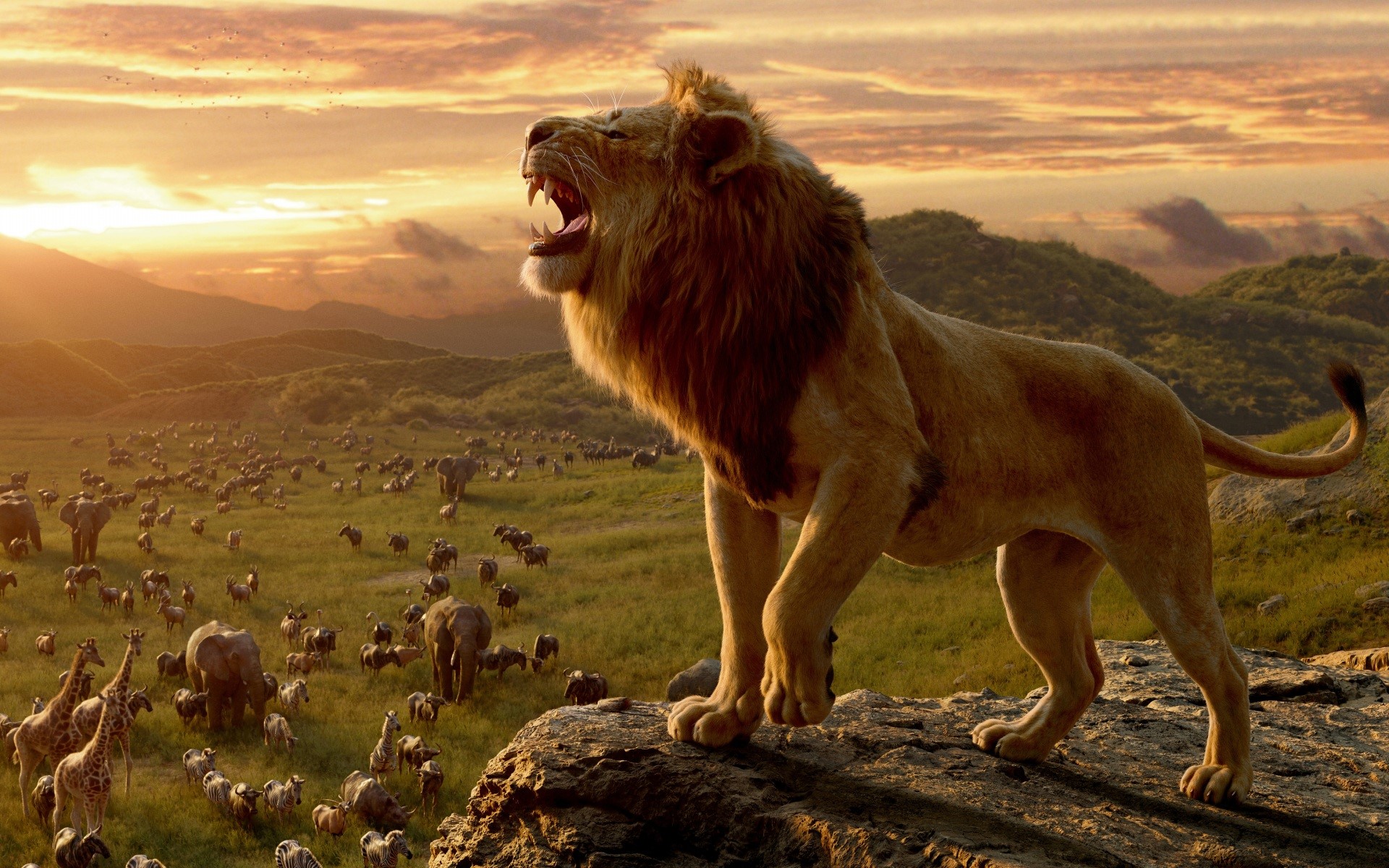 Simba Roaring from The Lion King HD Wallpaper