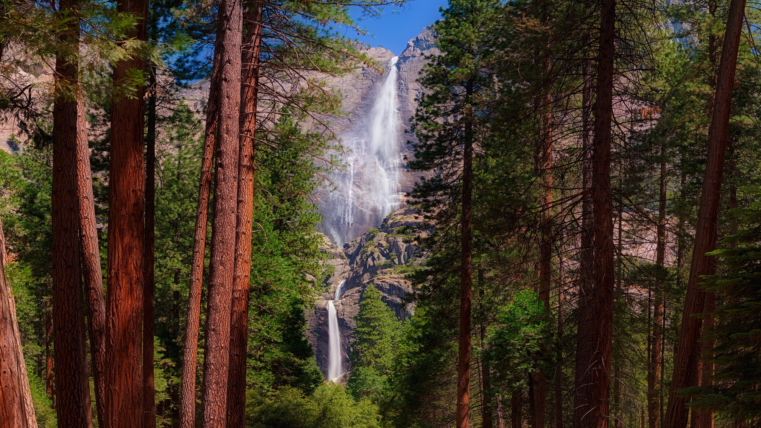 Tall trees frame a majestic waterfall cascading down a rocky cliff face. HD Wallpaper