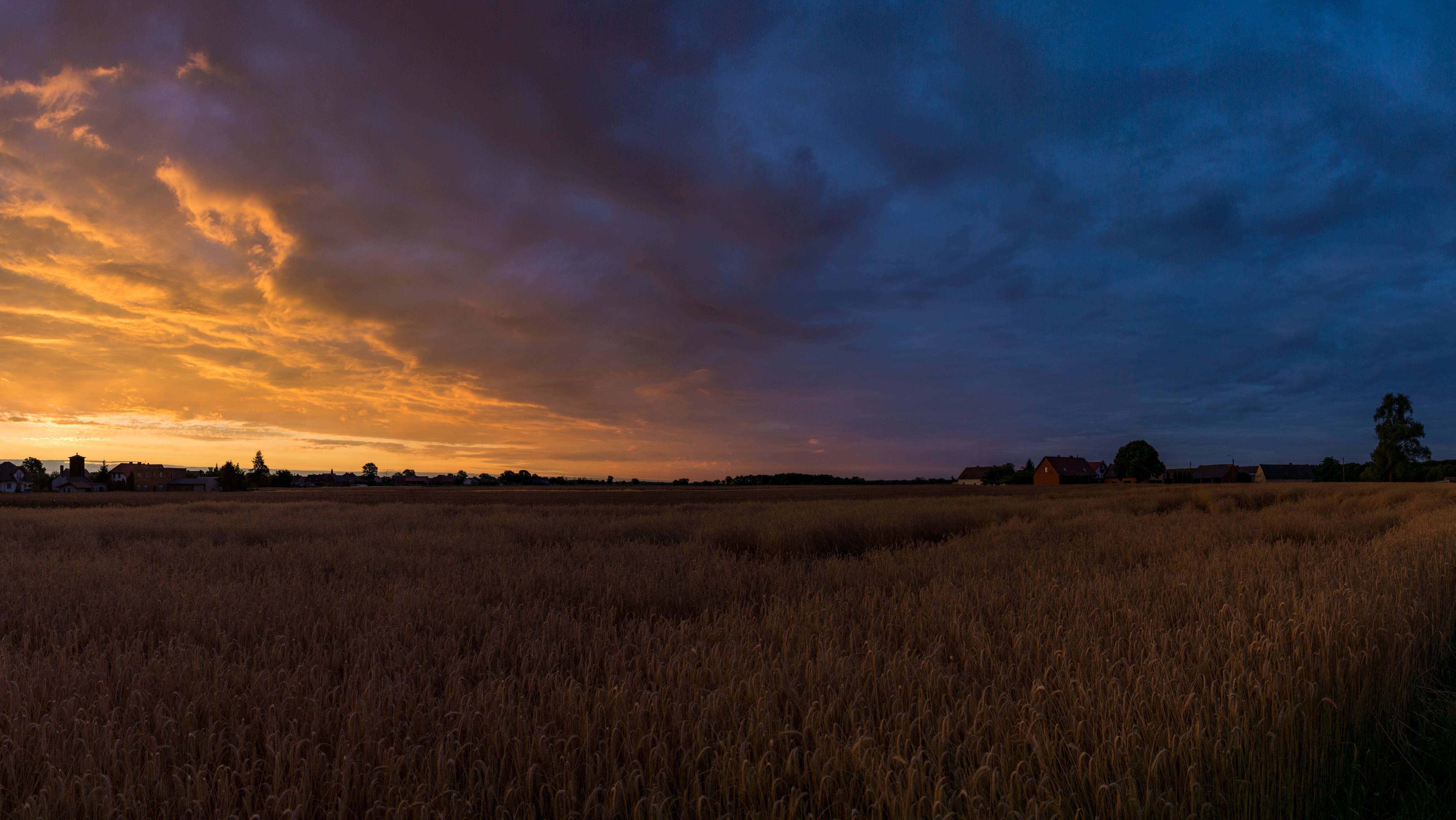 Wheat field at sunset in Poland HD Wallpaper