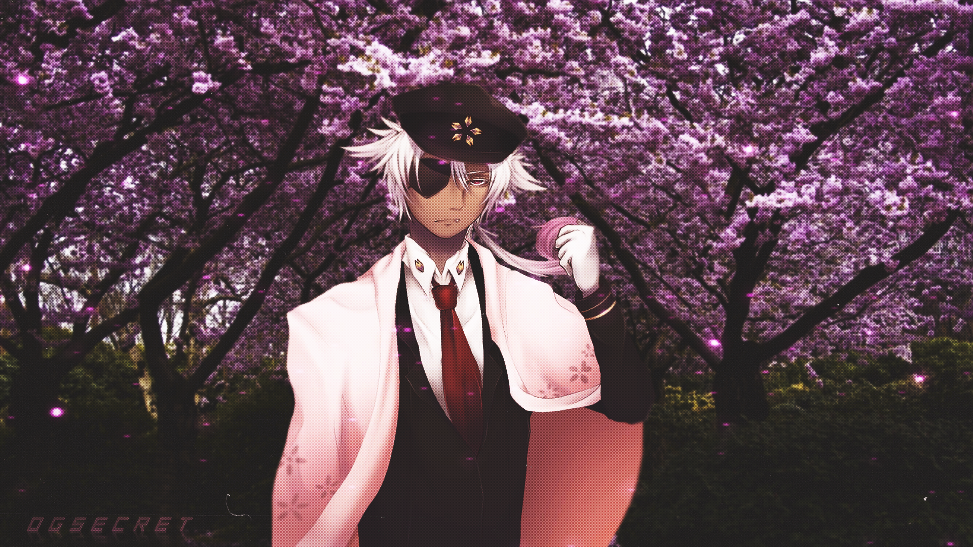 Kenshirou Yozakura from Yozakura Quartet in cherry blossom forest HD Wallpaper