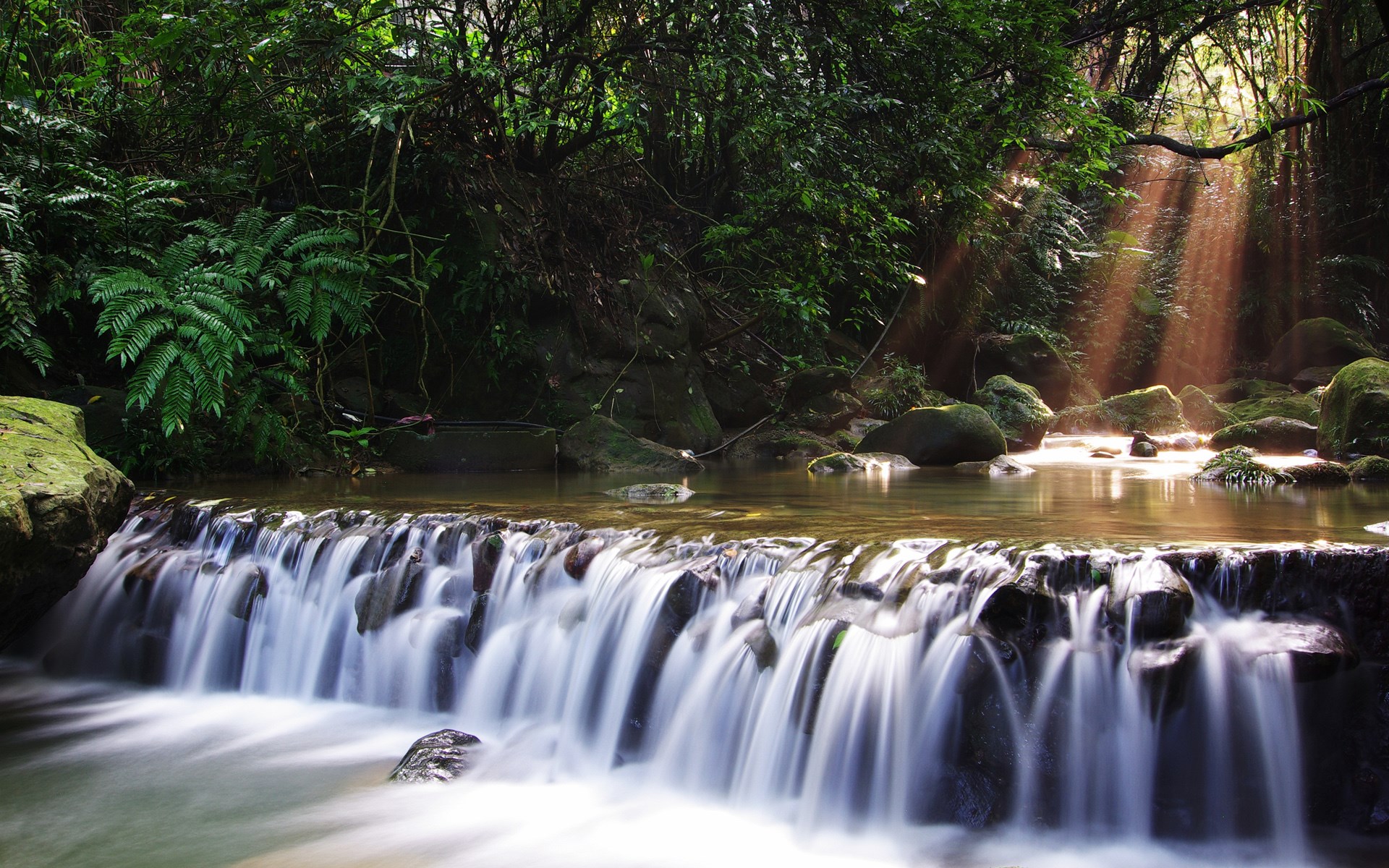 Sunlight streams through a forest onto a waterfall HD Wallpaper