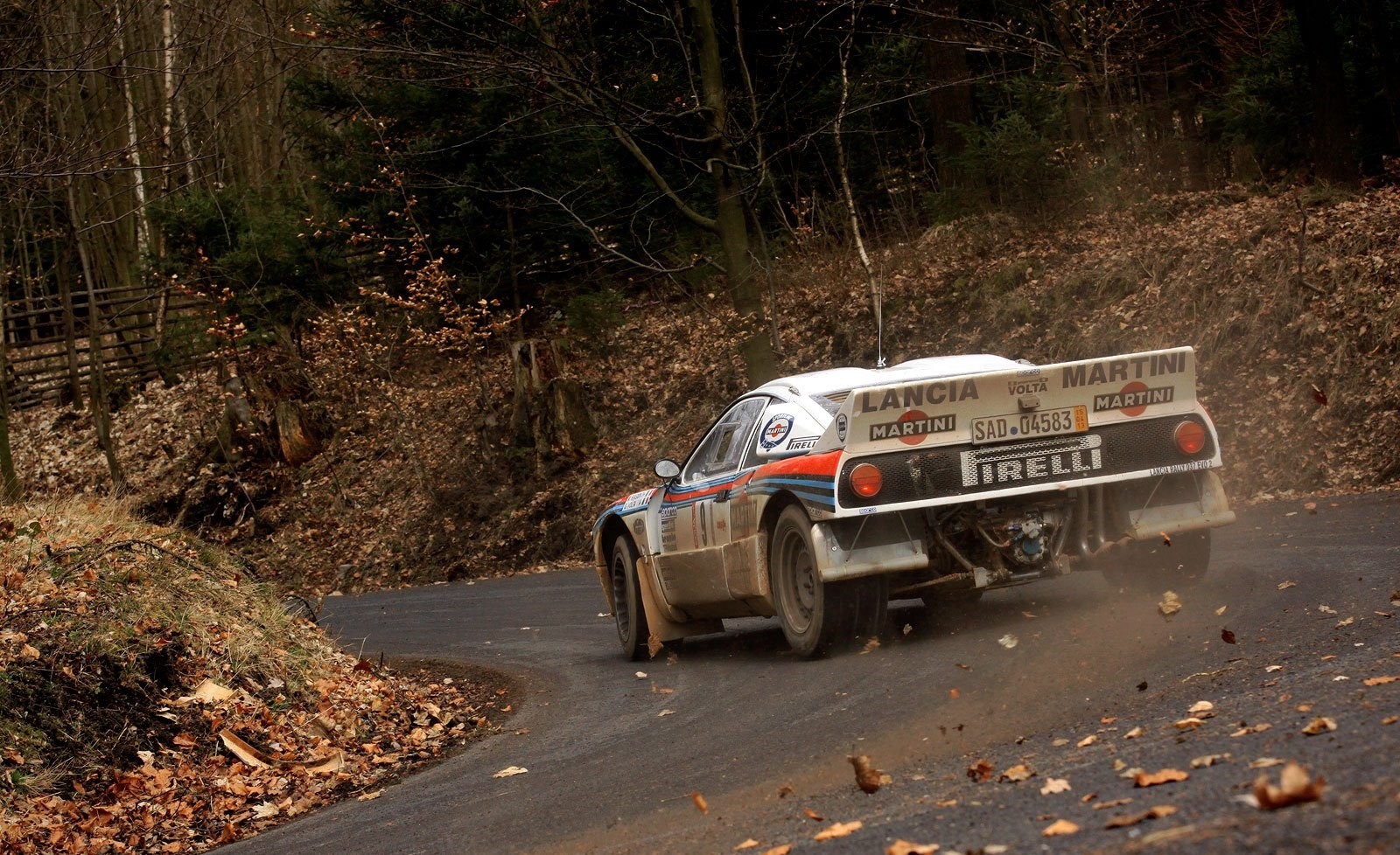 Lancia 037 Rally Car on a Forest Road HD Wallpaper