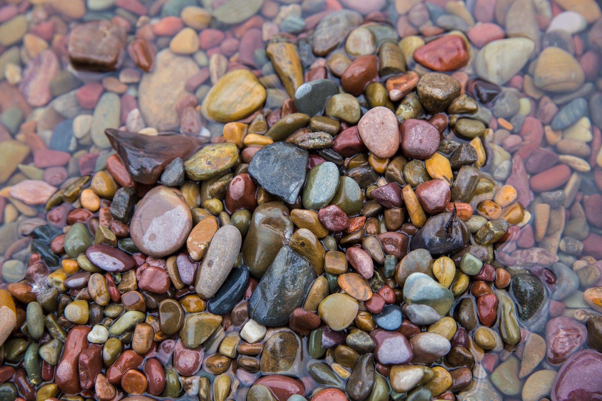 Colorful wet stones in shallow water HD Wallpaper