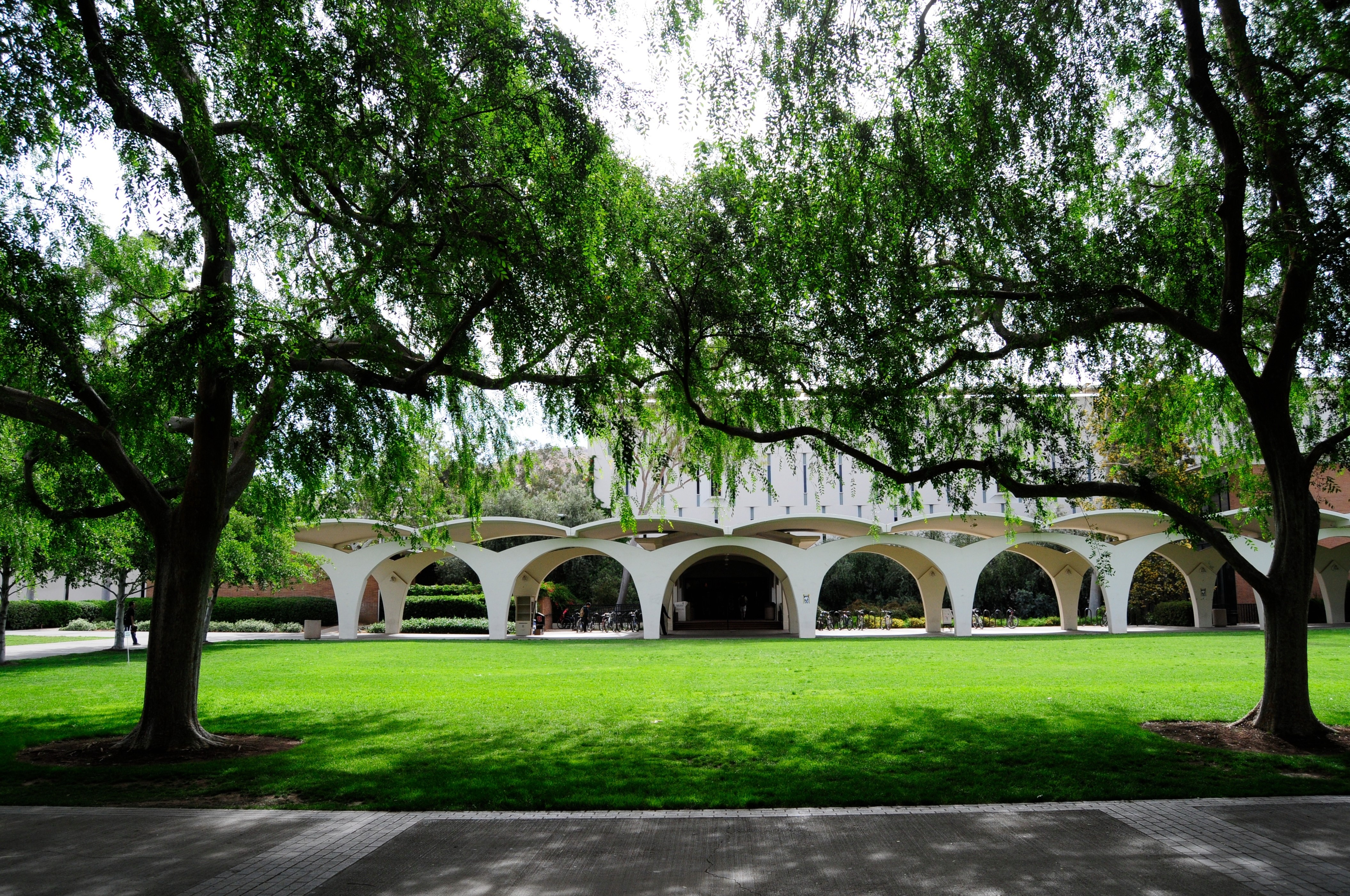 Campus lawn with arched walkway and trees HD Wallpaper