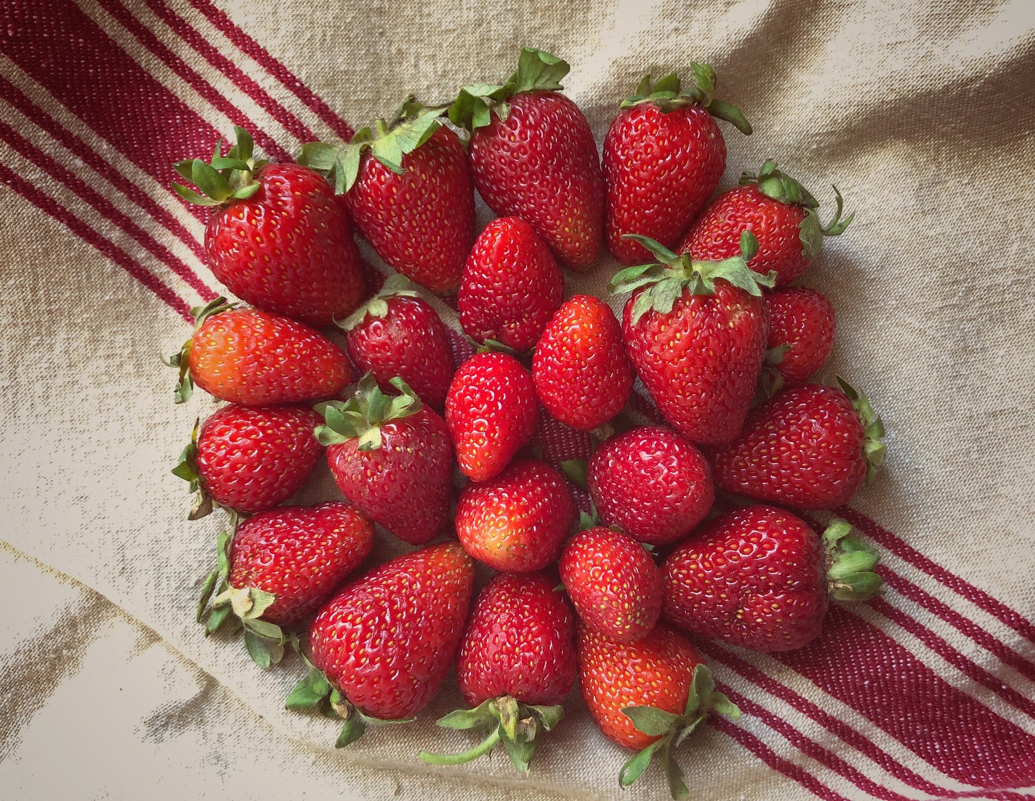 Strawberries on a striped cloth HD Wallpaper