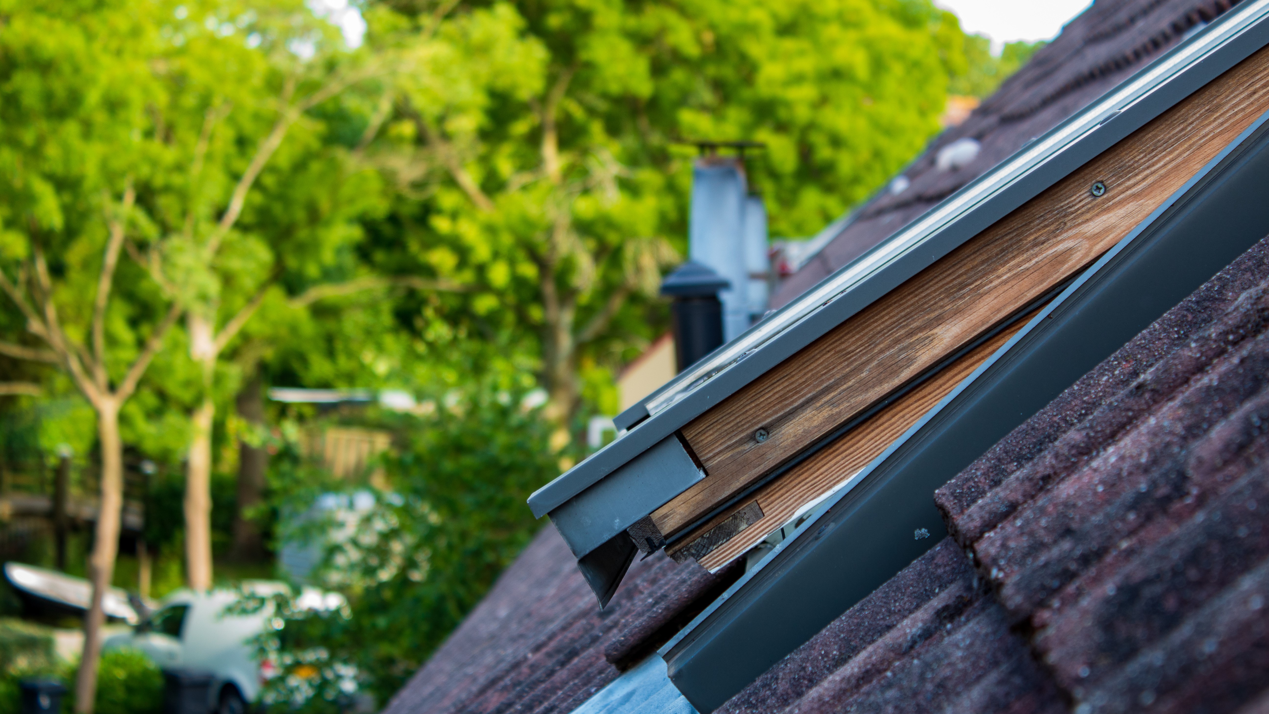 Rooftops with skylight and trees HD Wallpaper