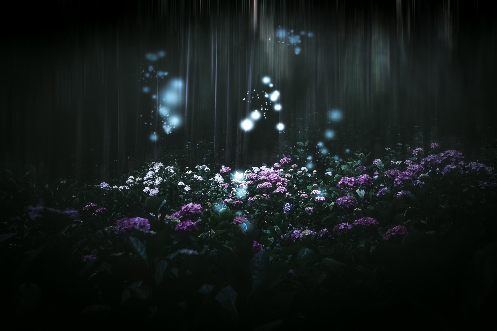 Magical forest with glowing lights and flowers HD Wallpaper