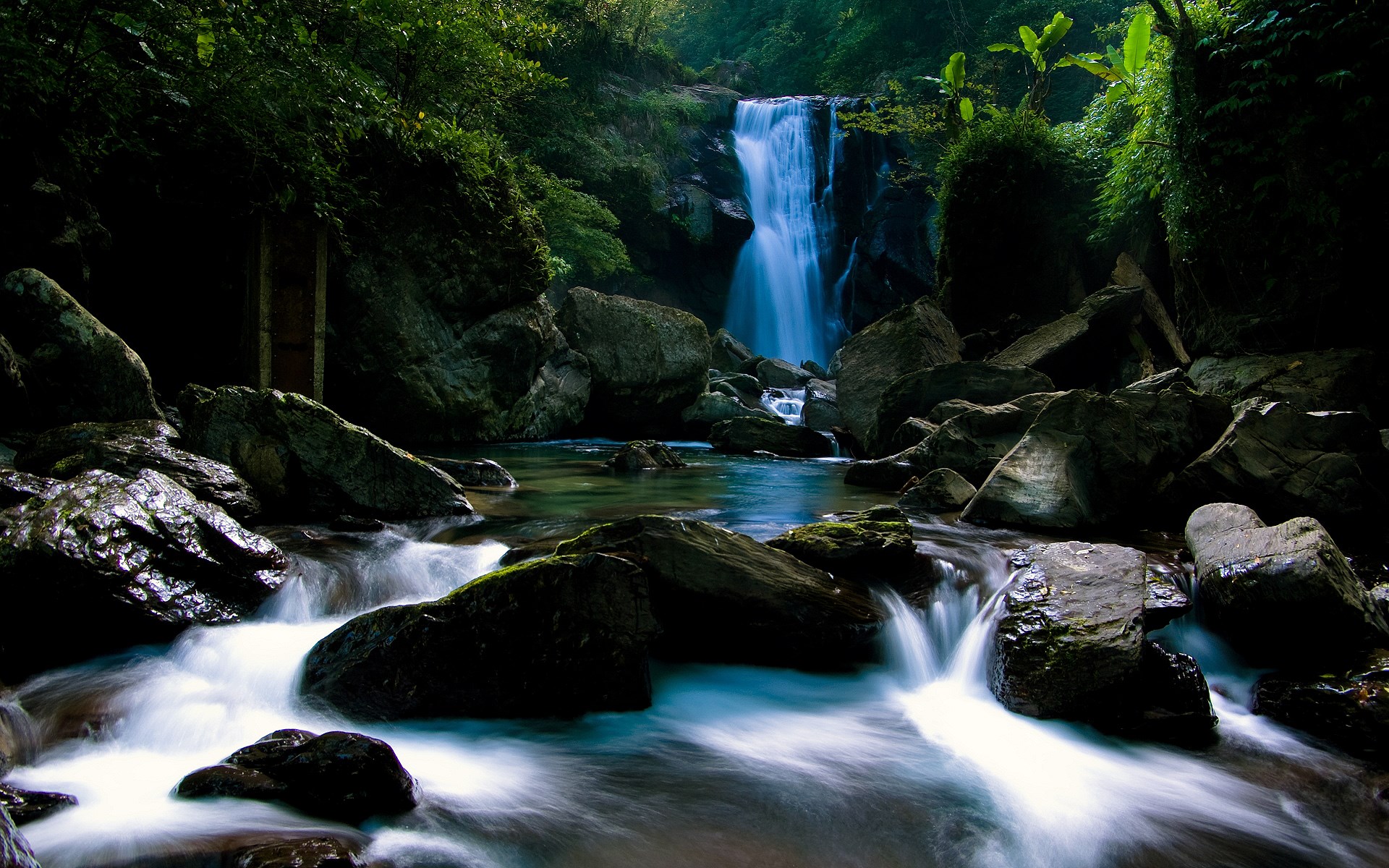 Waterfall cascading into a rocky stream in a dense forest HD Wallpaper
