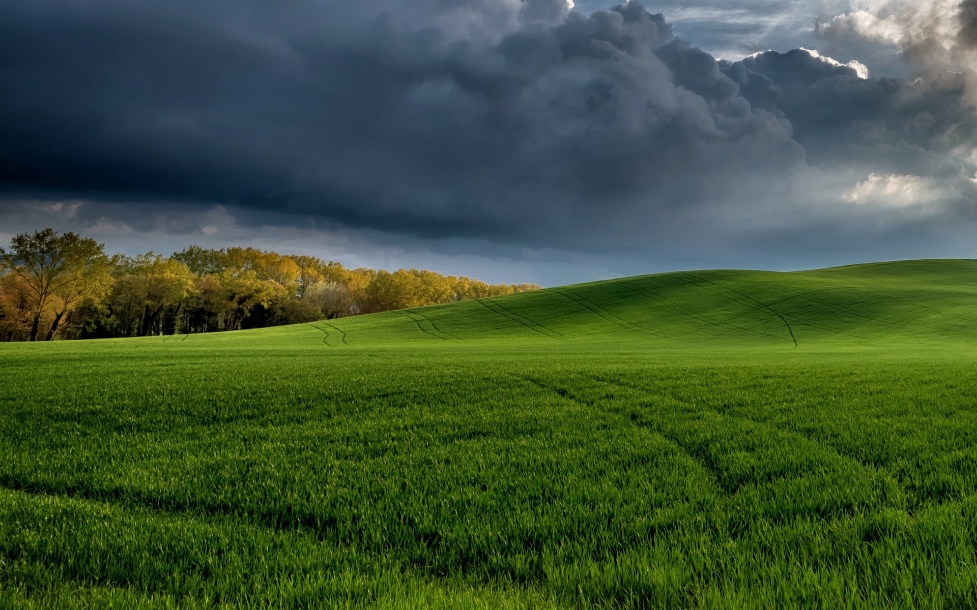 Green rolling hills under a stormy sky HD Wallpaper