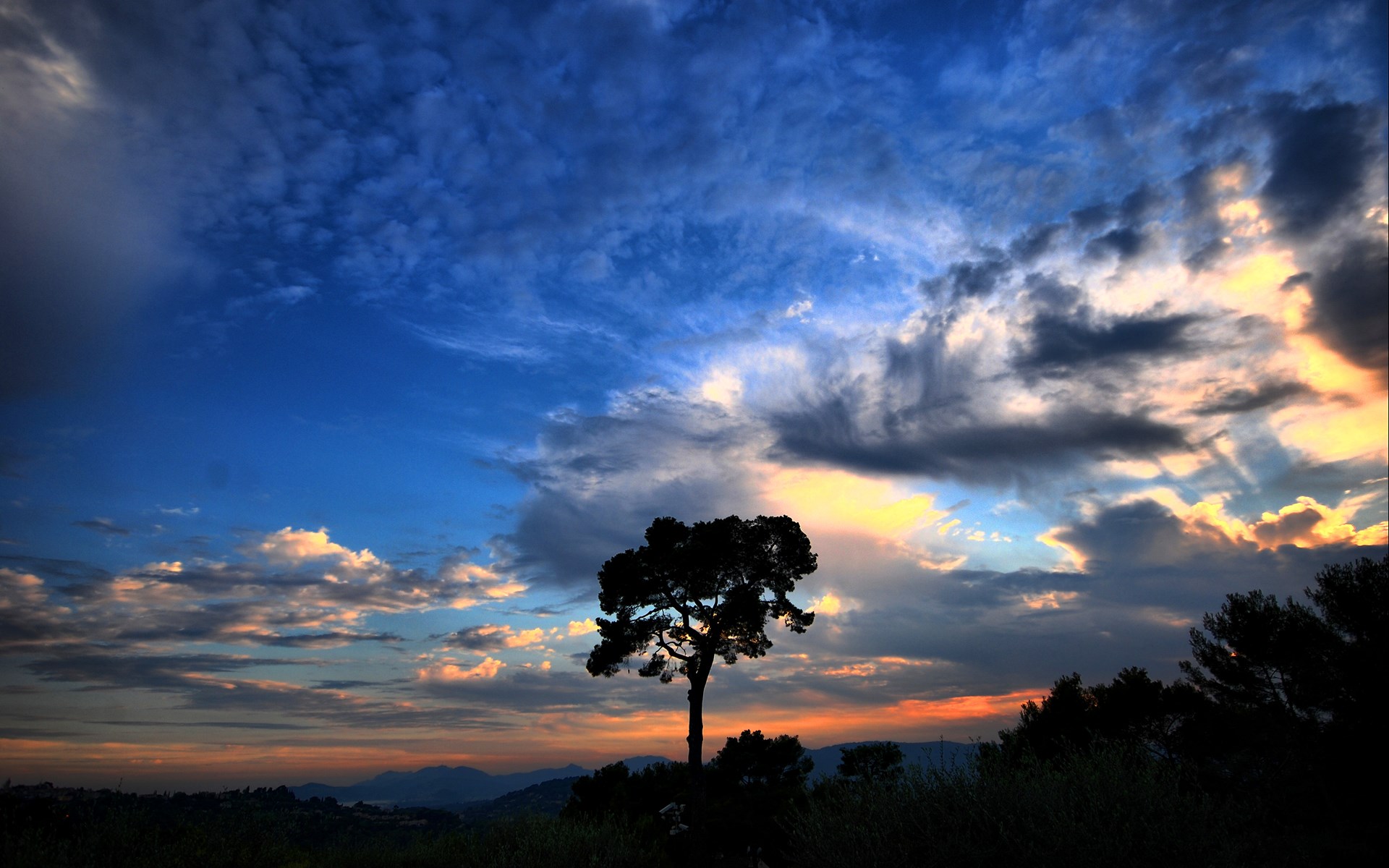 Silhouette of a lone tree against a dramatic sunset sky HD Wallpaper