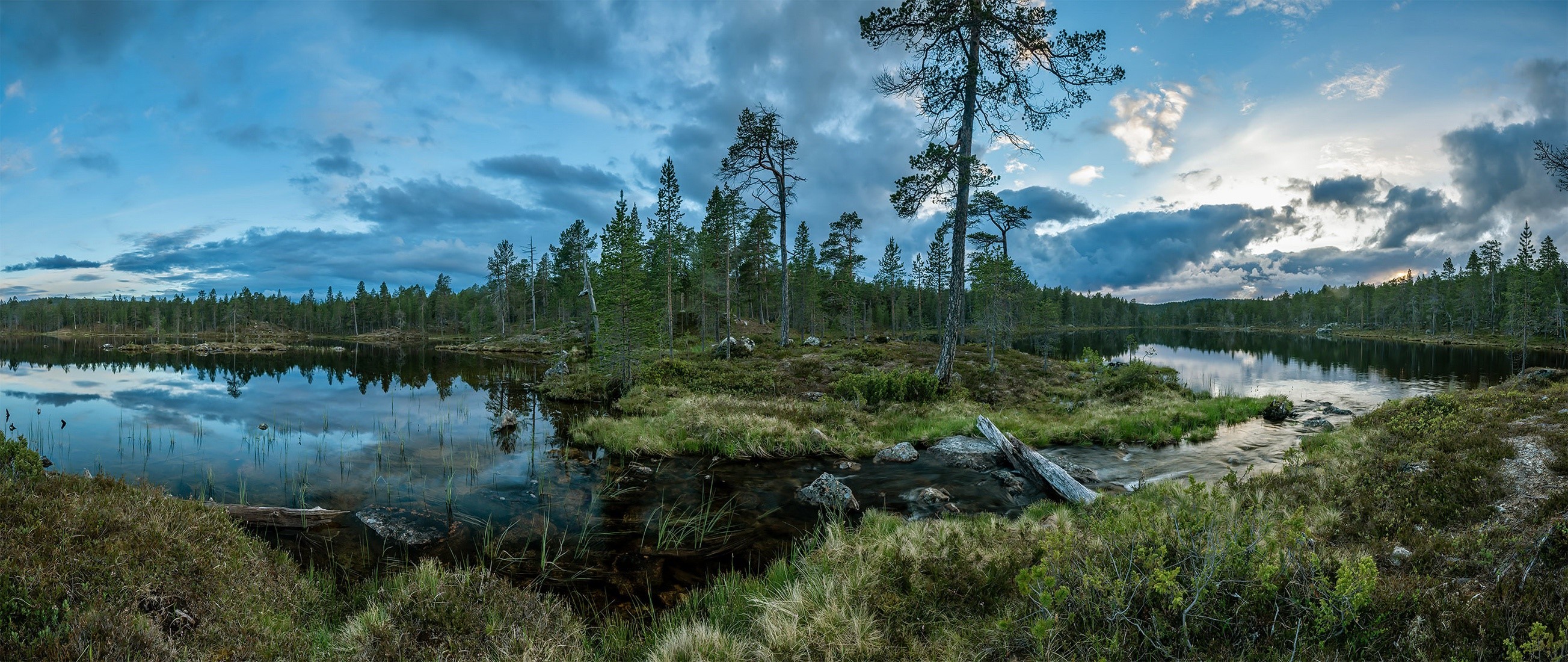 Panoramic view of a forest lake with reflections HD Wallpaper