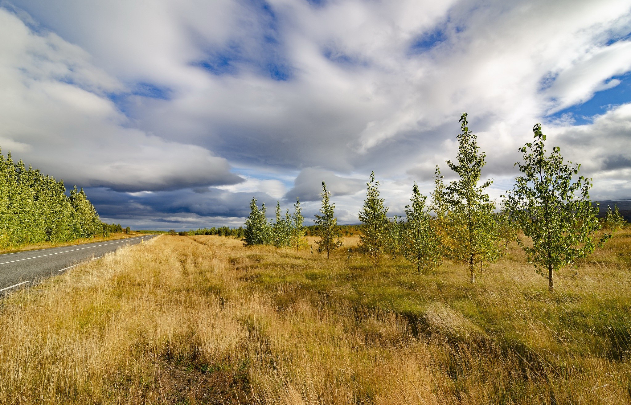 Roadside with trees and cloudy sky HD Wallpaper