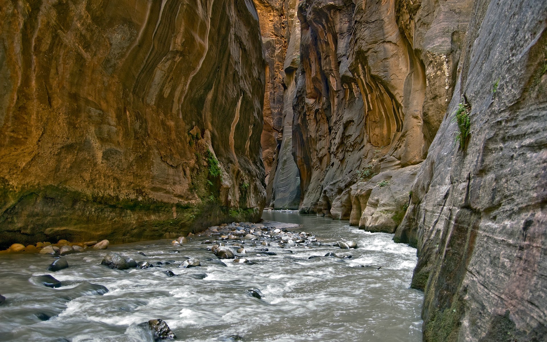 River flowing through a narrow canyon with towering rock walls HD Wallpaper