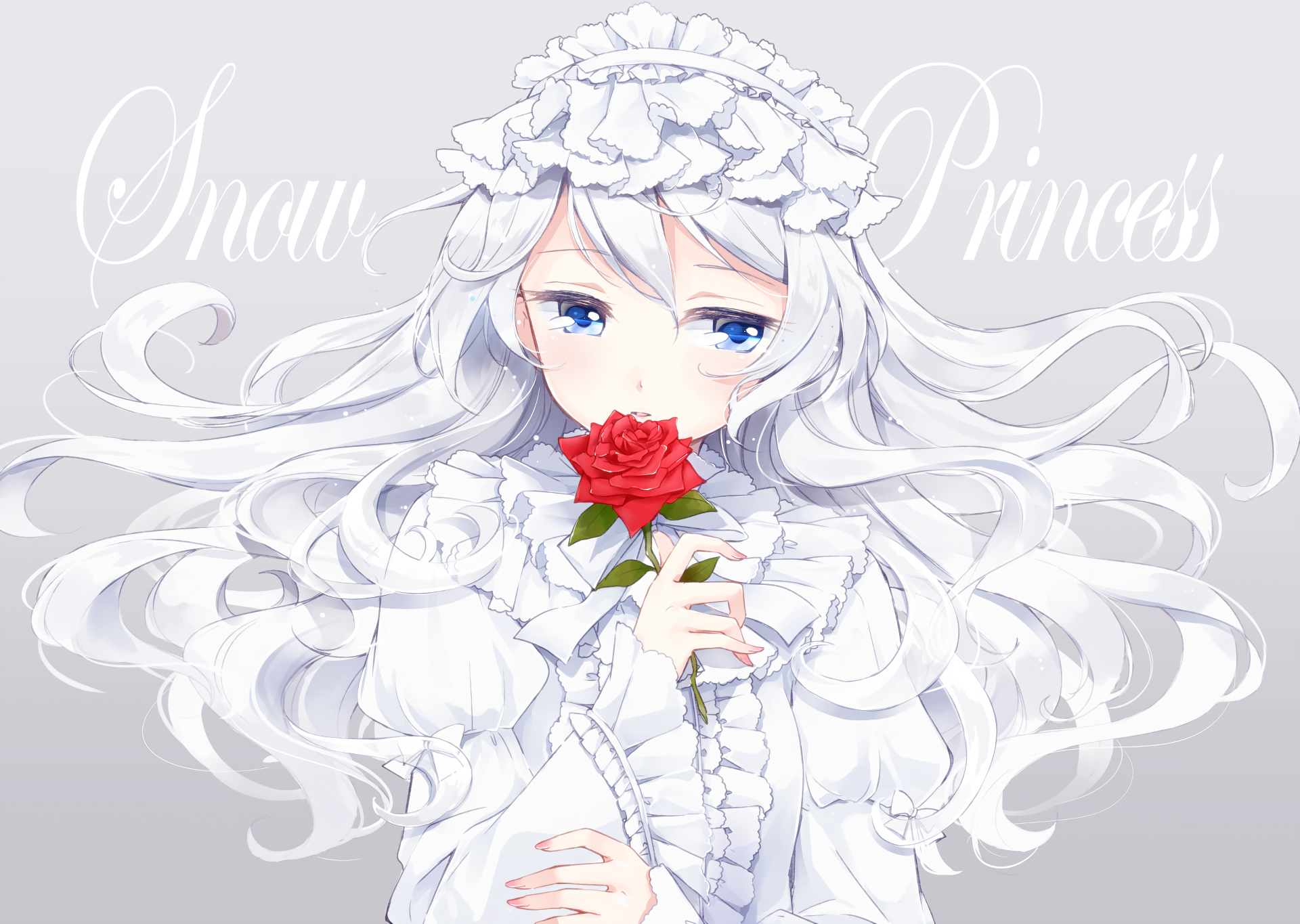 Anime girl with white hair and blue eyes holding a red rose HD Wallpaper