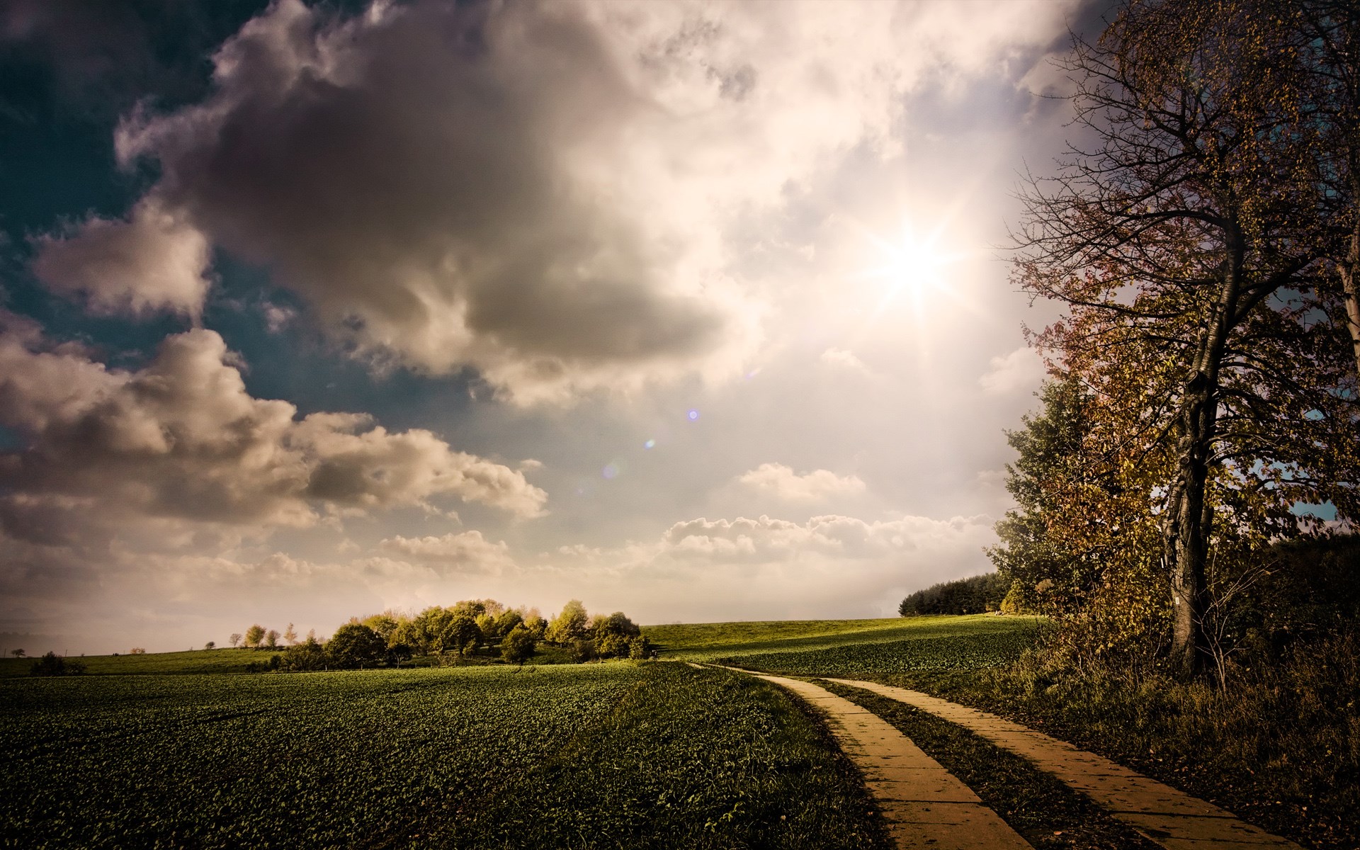 Dirt road through a field under a cloudy sky HD Wallpaper
