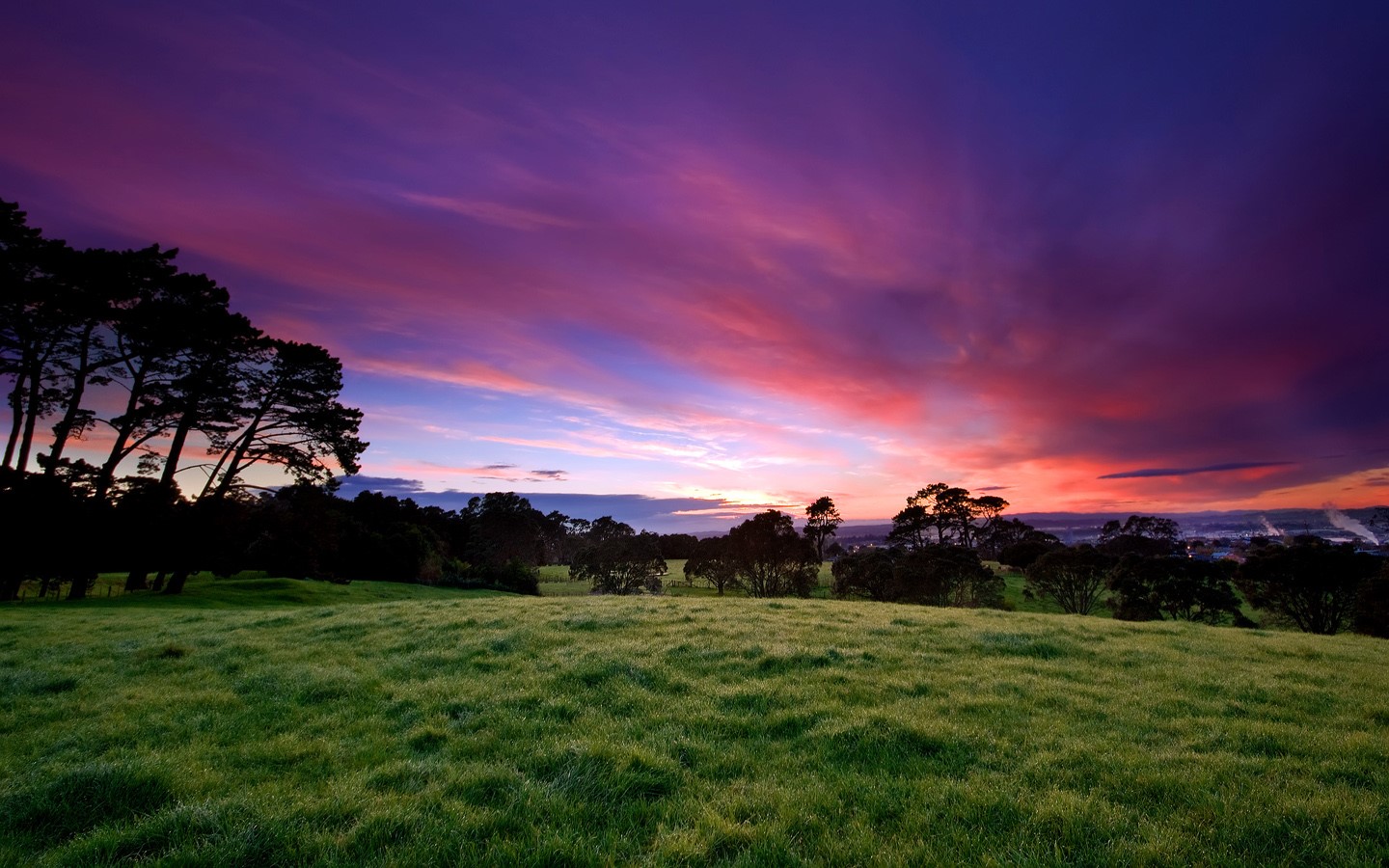 Grassy field with trees and colorful sunset sky HD Wallpaper