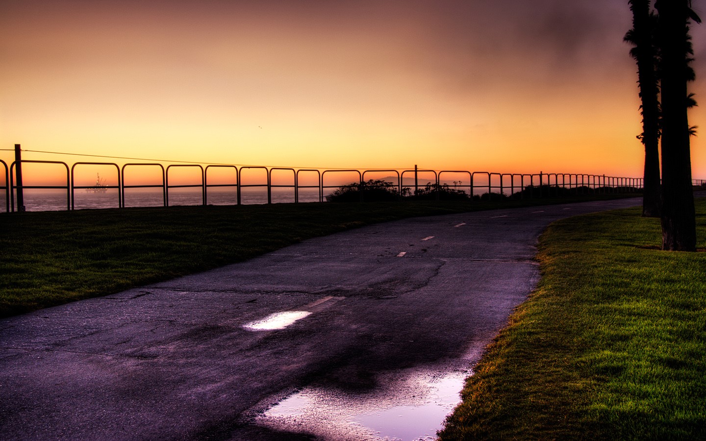 Coastal walkway at sunset with palm trees HD Wallpaper