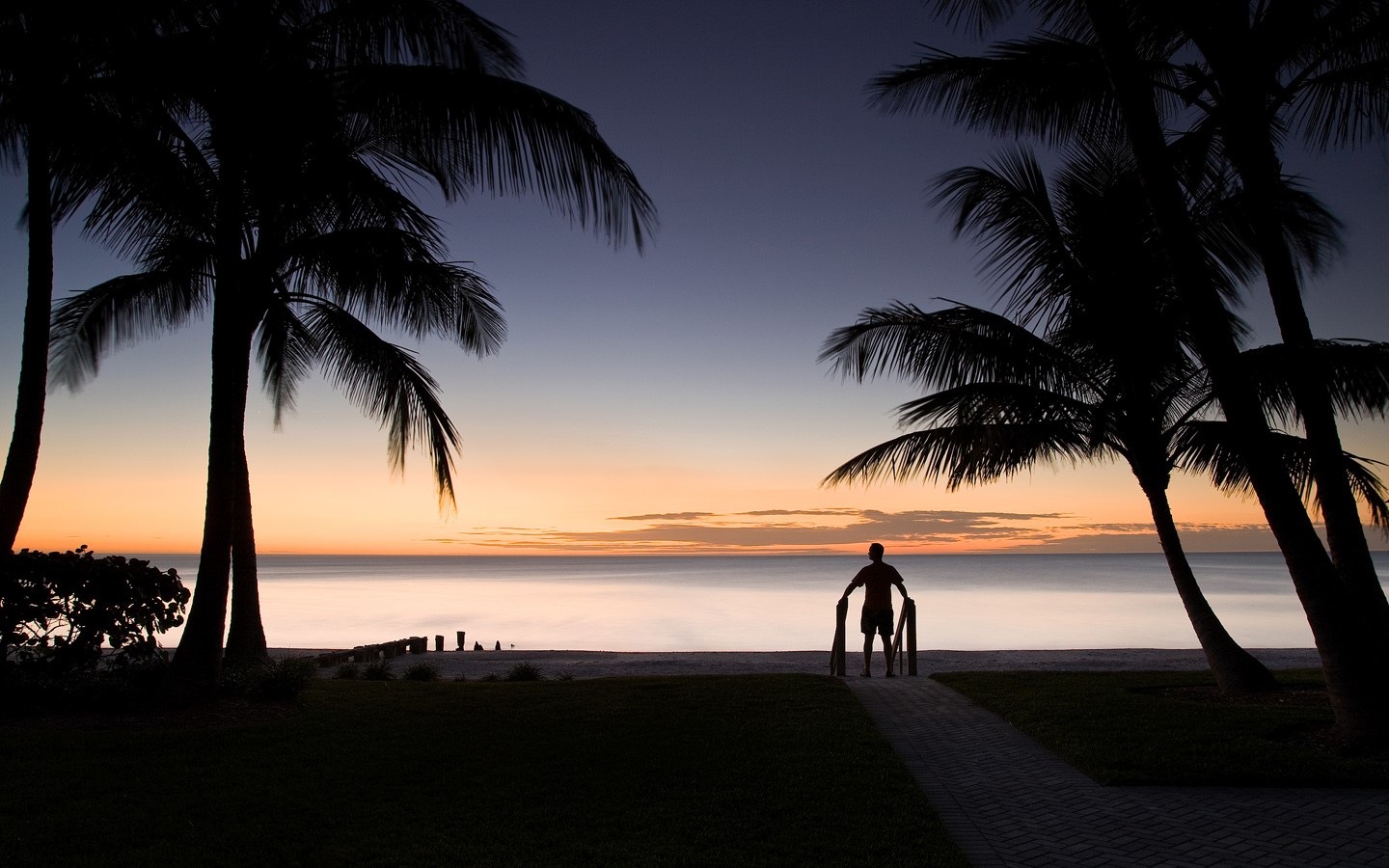 Man standing on beach path at sunset with palm trees HD Wallpaper