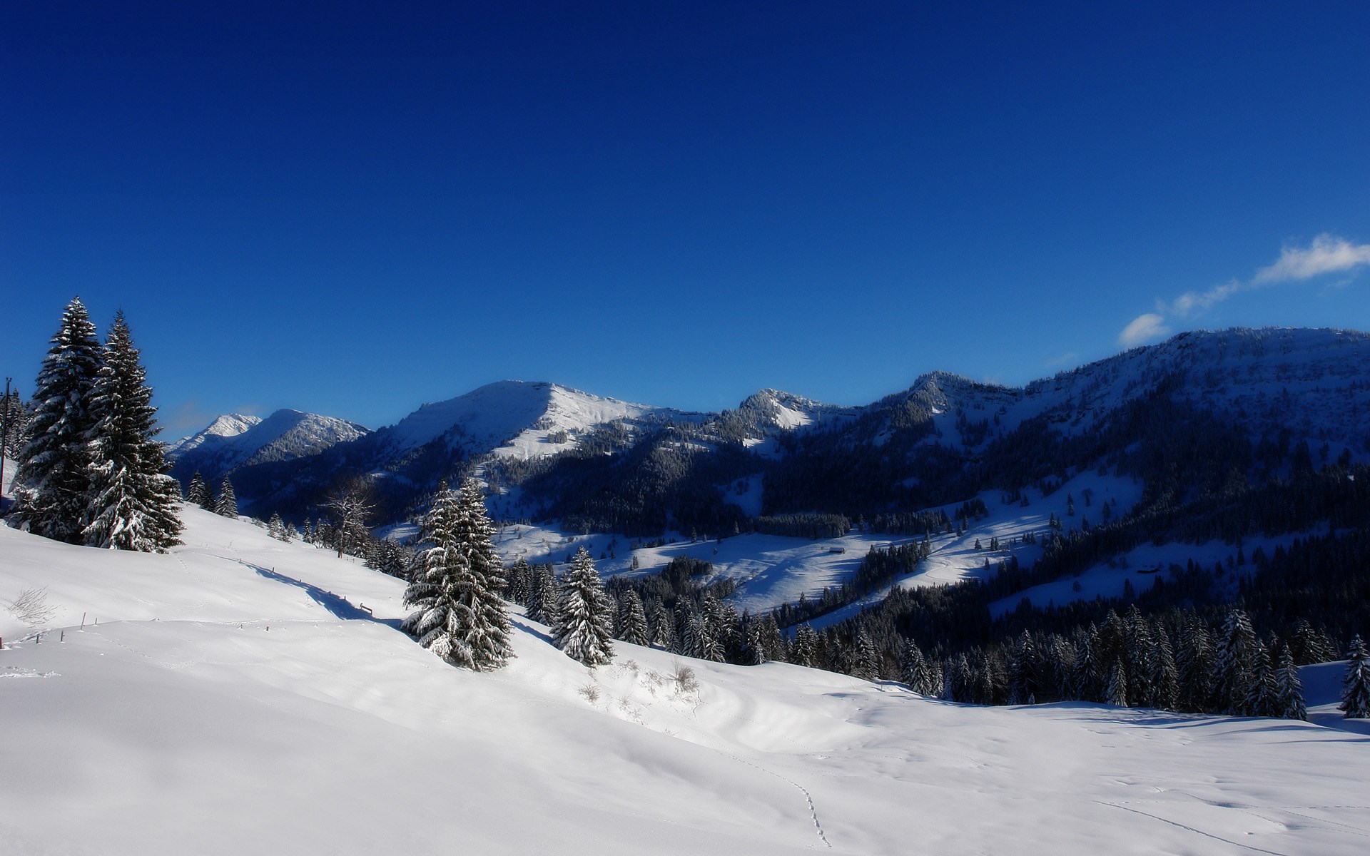 Snowy mountains and pine trees under a clear blue sky HD Wallpaper