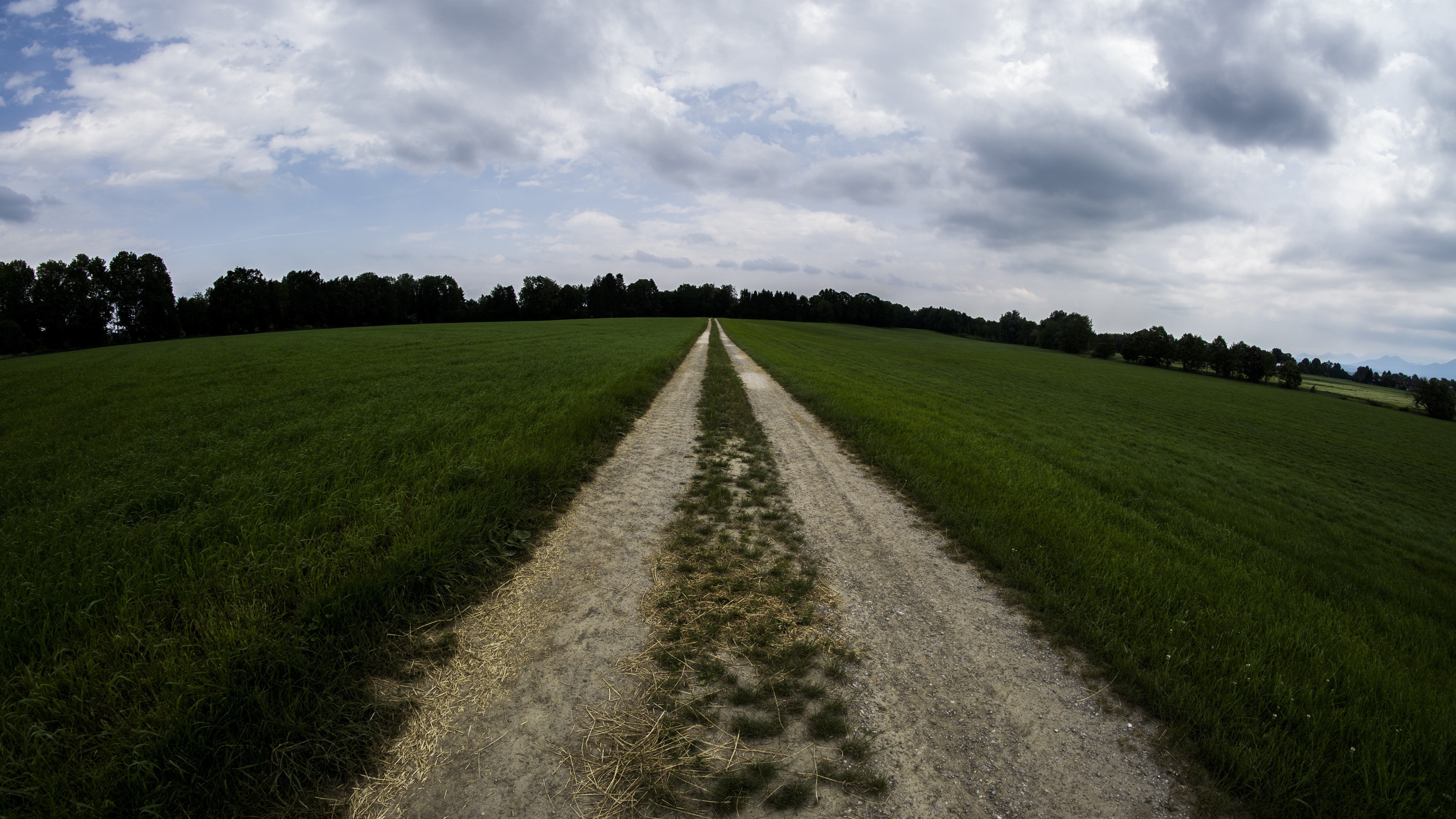 Dirt road through green fields under cloudy sky HD Wallpaper