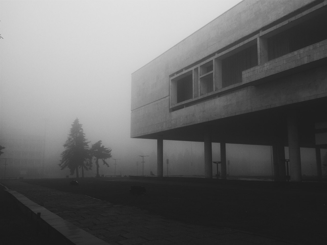 Concrete building in fog with trees HD Wallpaper