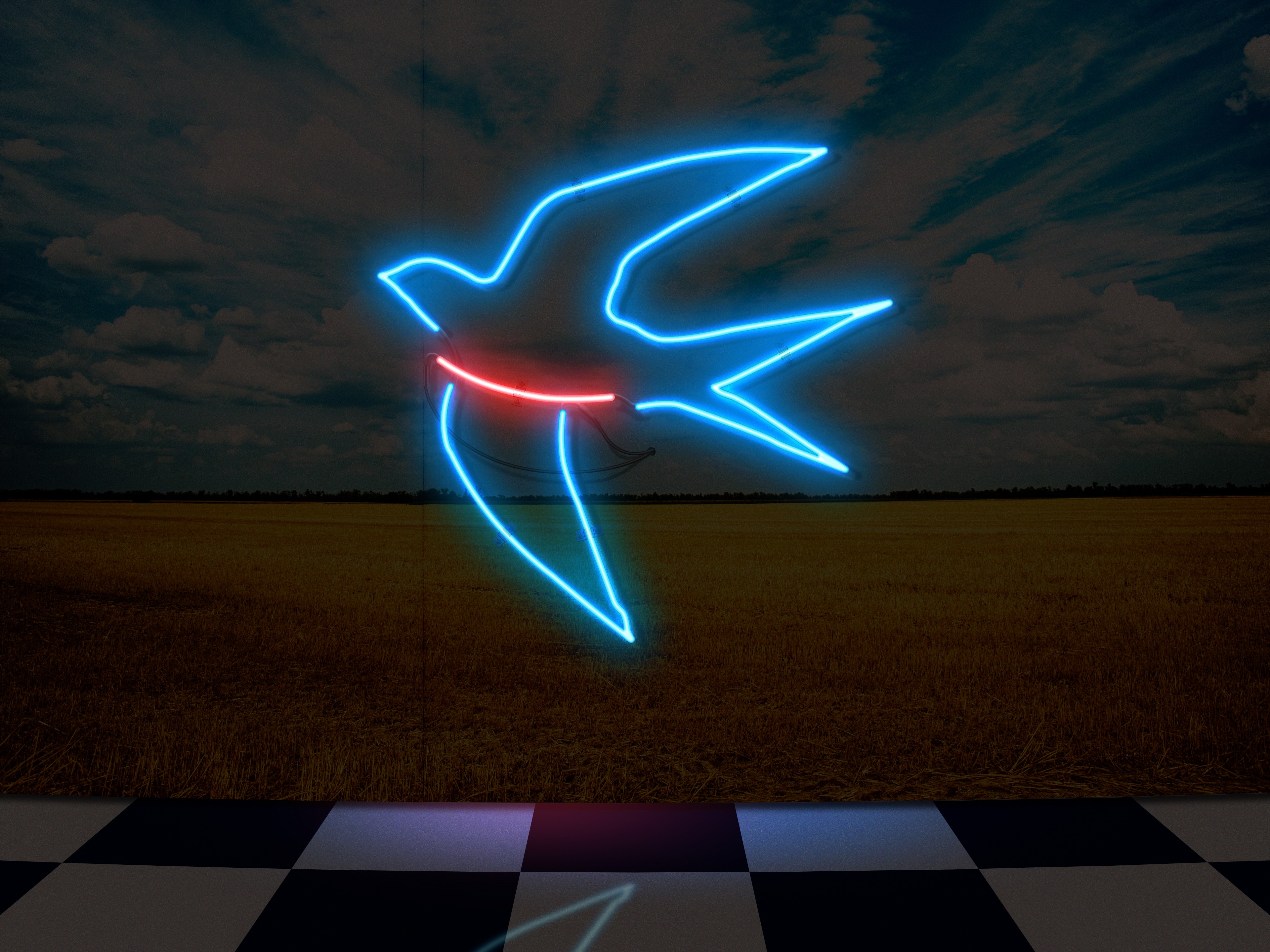Neon swallow artwork with field and sky HD Wallpaper
