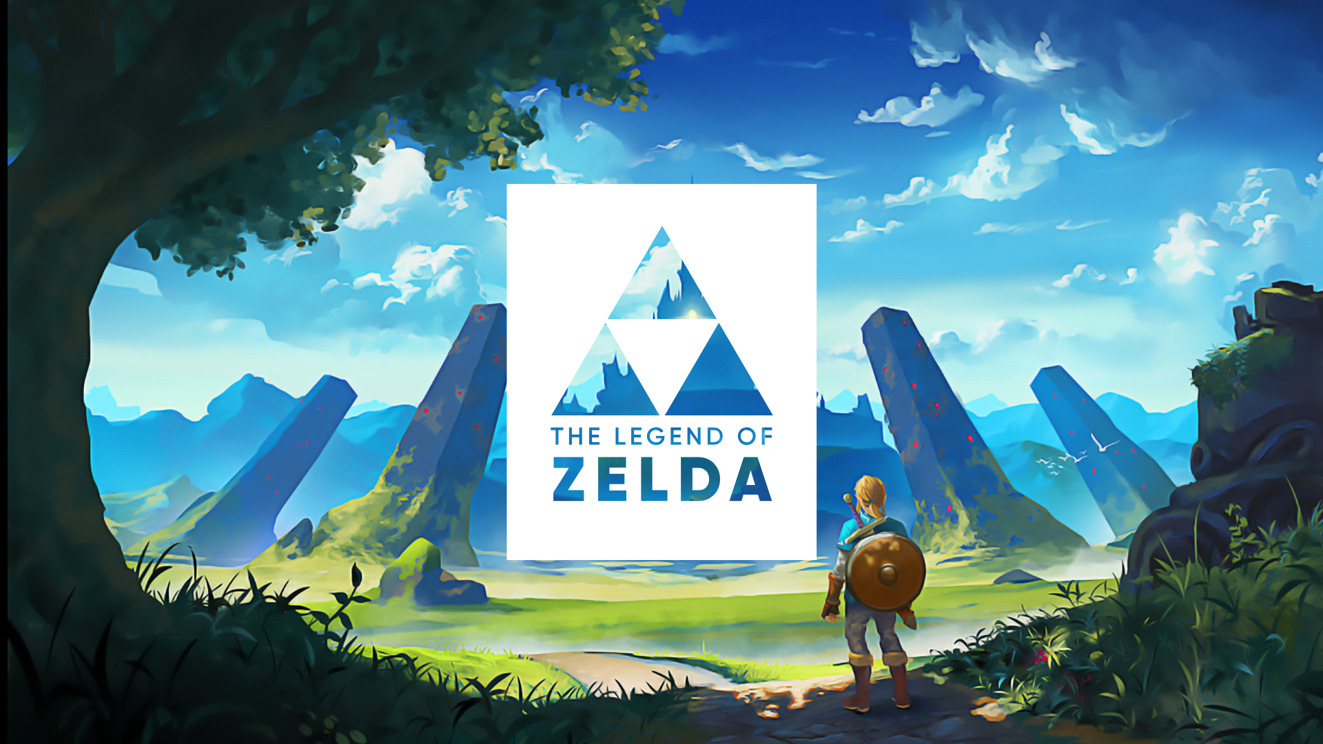 Link from The Legend of Zelda: Breath of the Wild HD Wallpaper