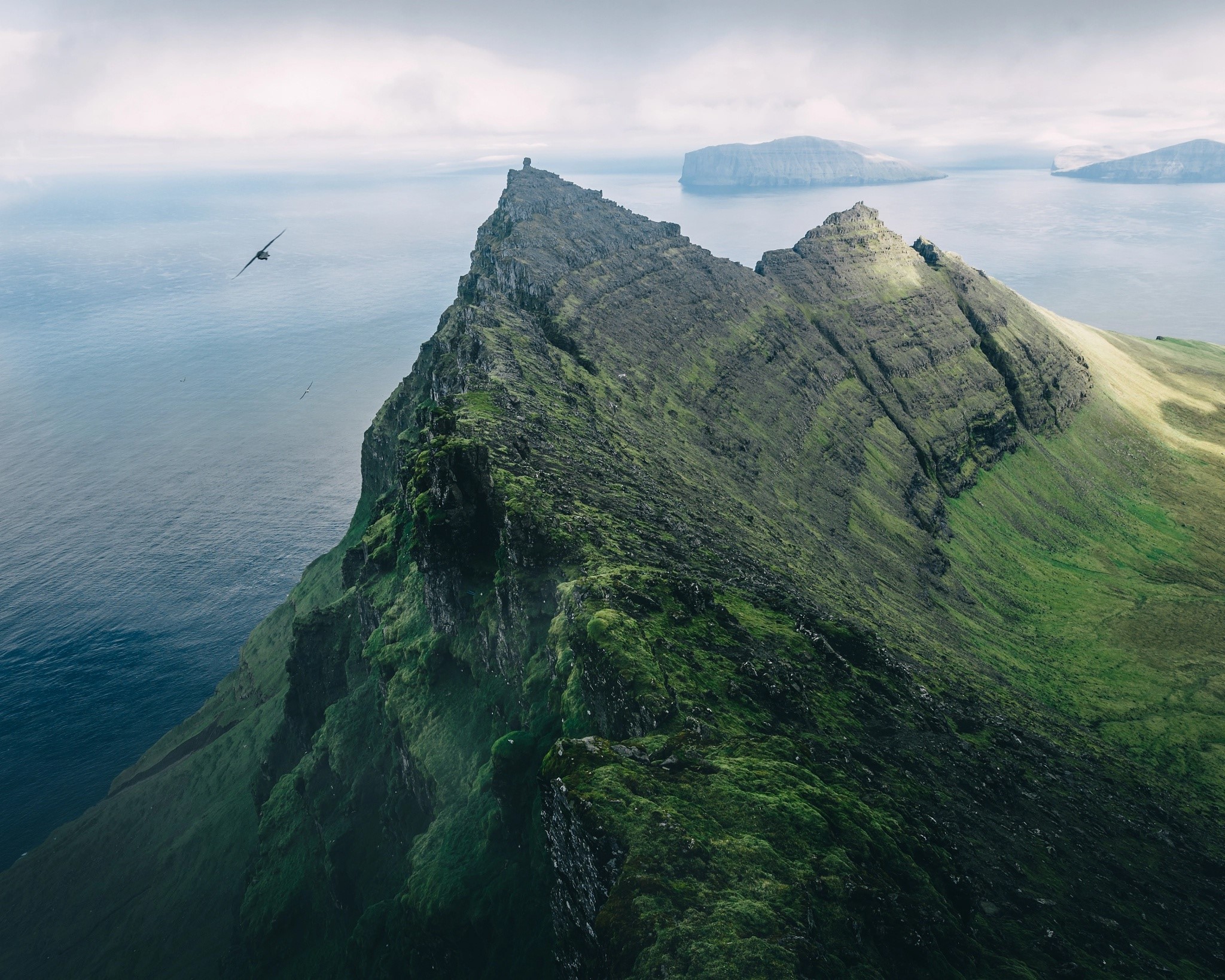 Jagged green cliffs overlooking the ocean with birds flying HD Wallpaper