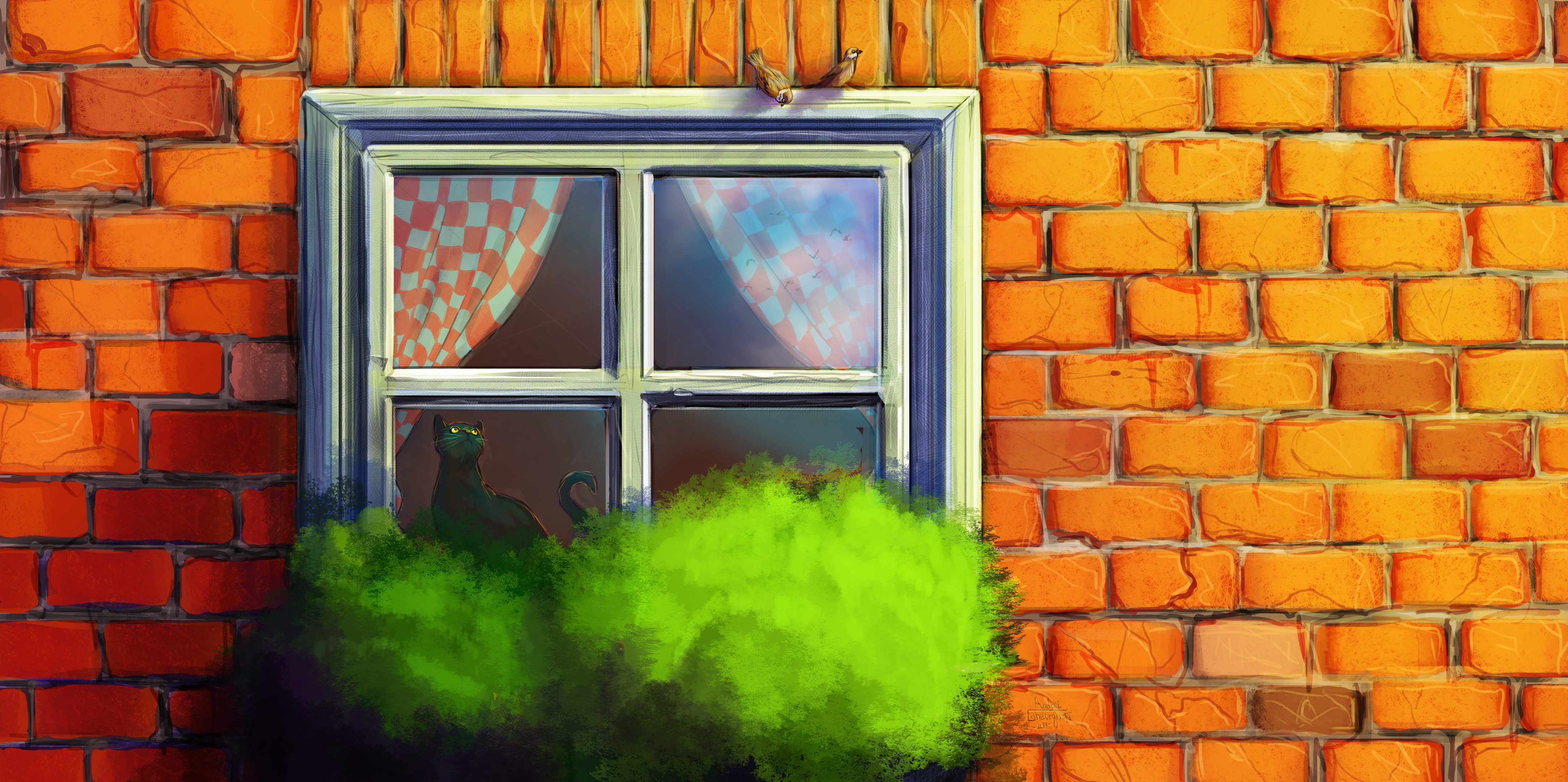 Black cat in window with birds on brick wall HD Wallpaper