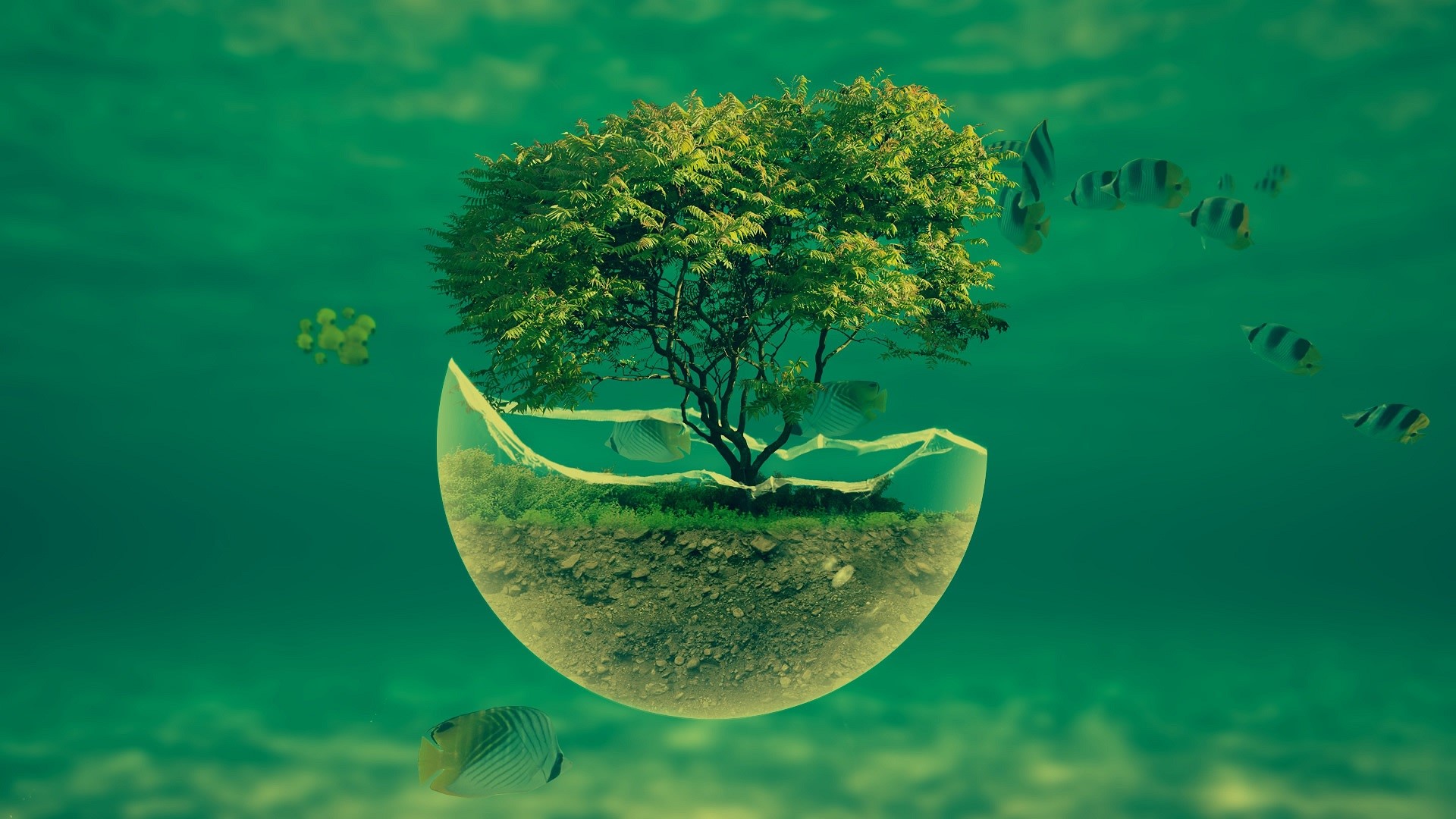 Underwater ecosystem with tree and fish HD Wallpaper