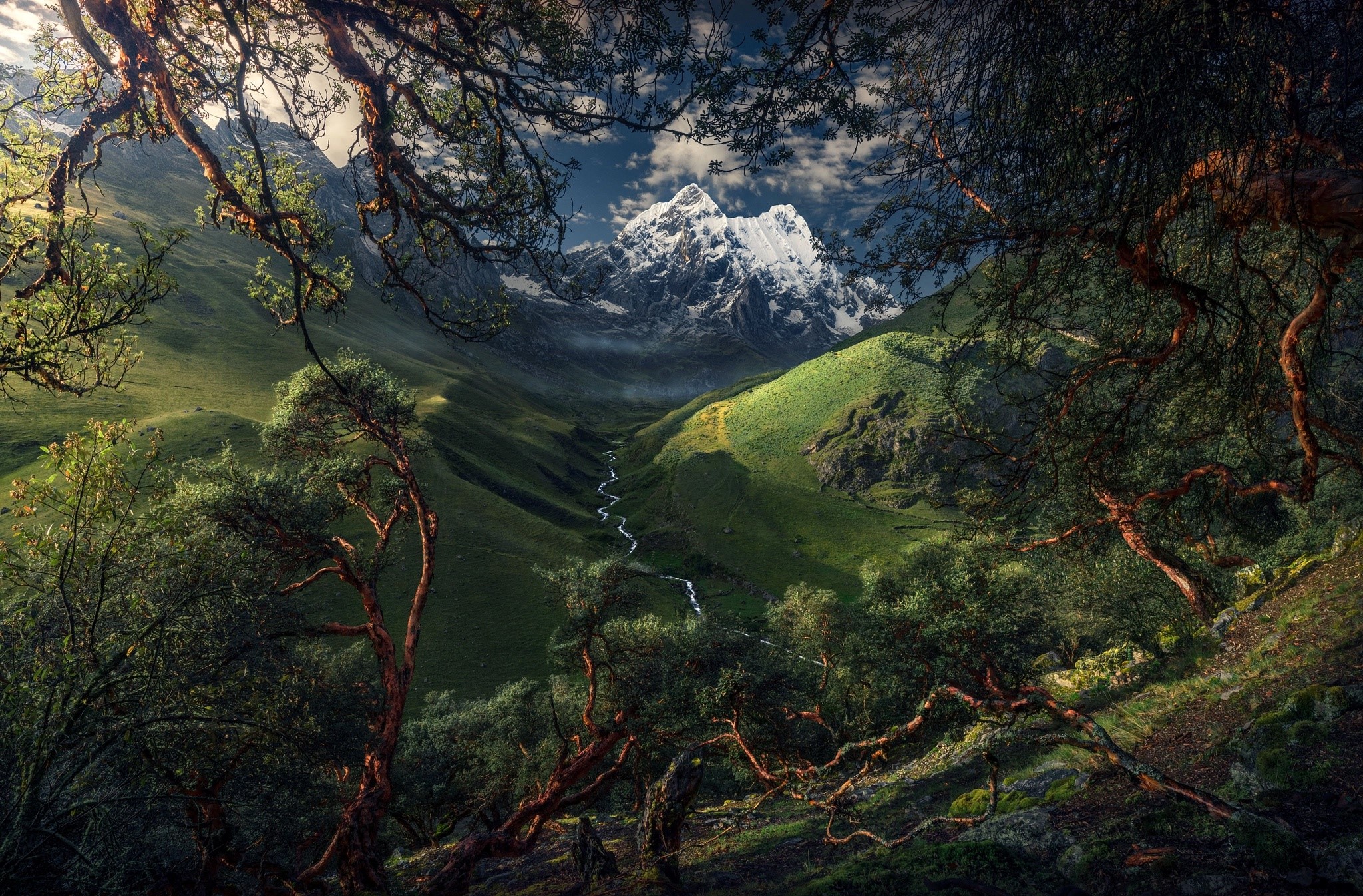 Mountain valley with river and trees in South America HD Wallpaper