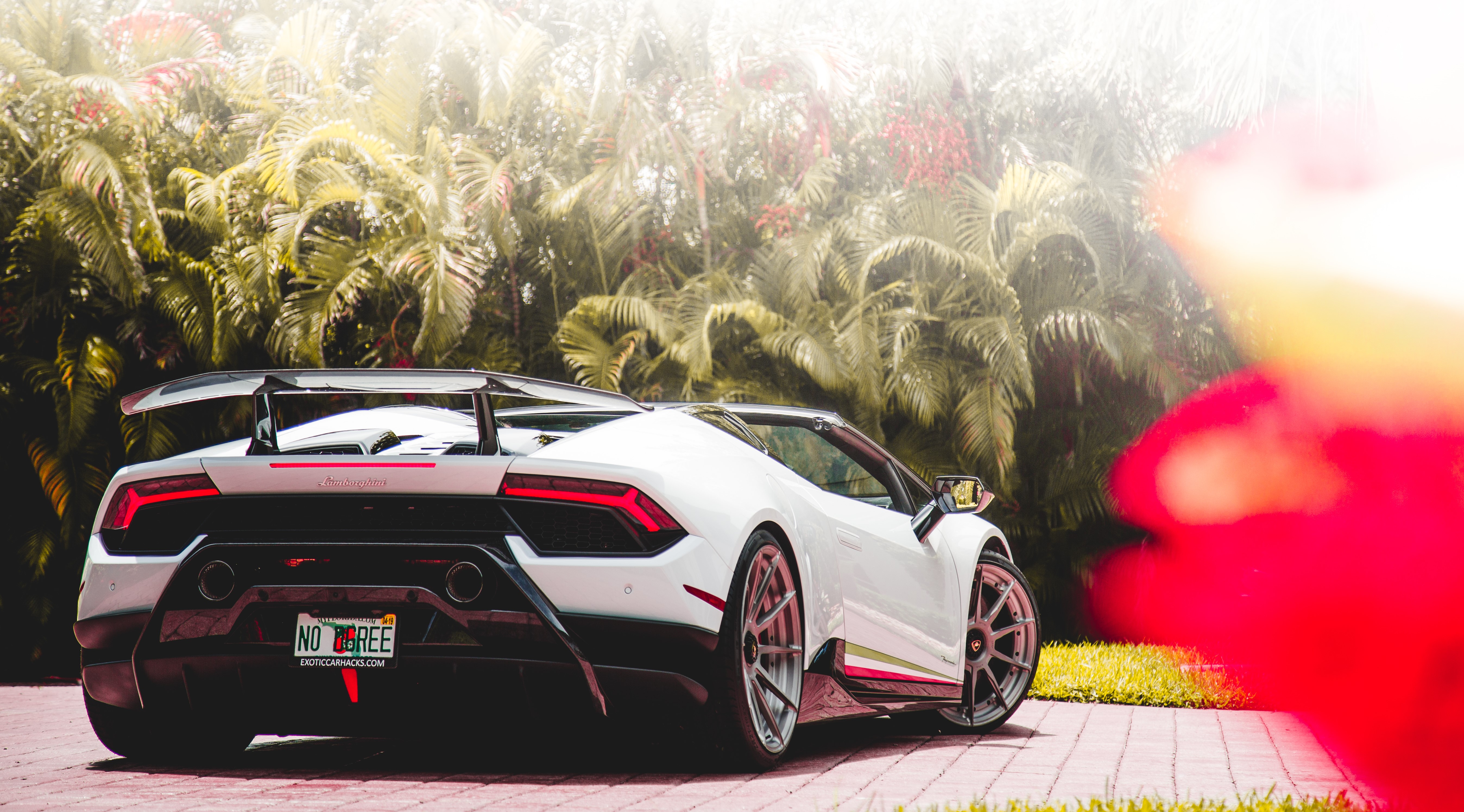 White Lamborghini Huracan with Palm Trees HD Wallpaper