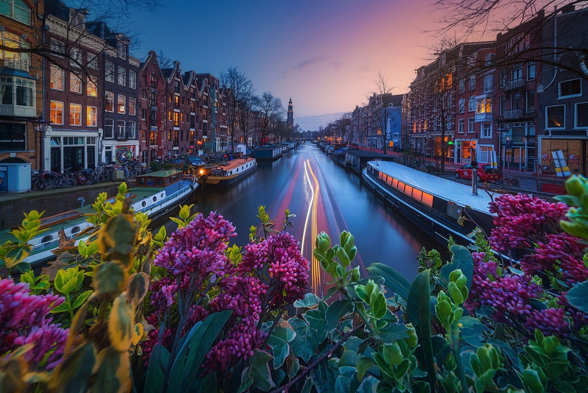 Amsterdam canal at dusk with flowers in foreground HD Wallpaper