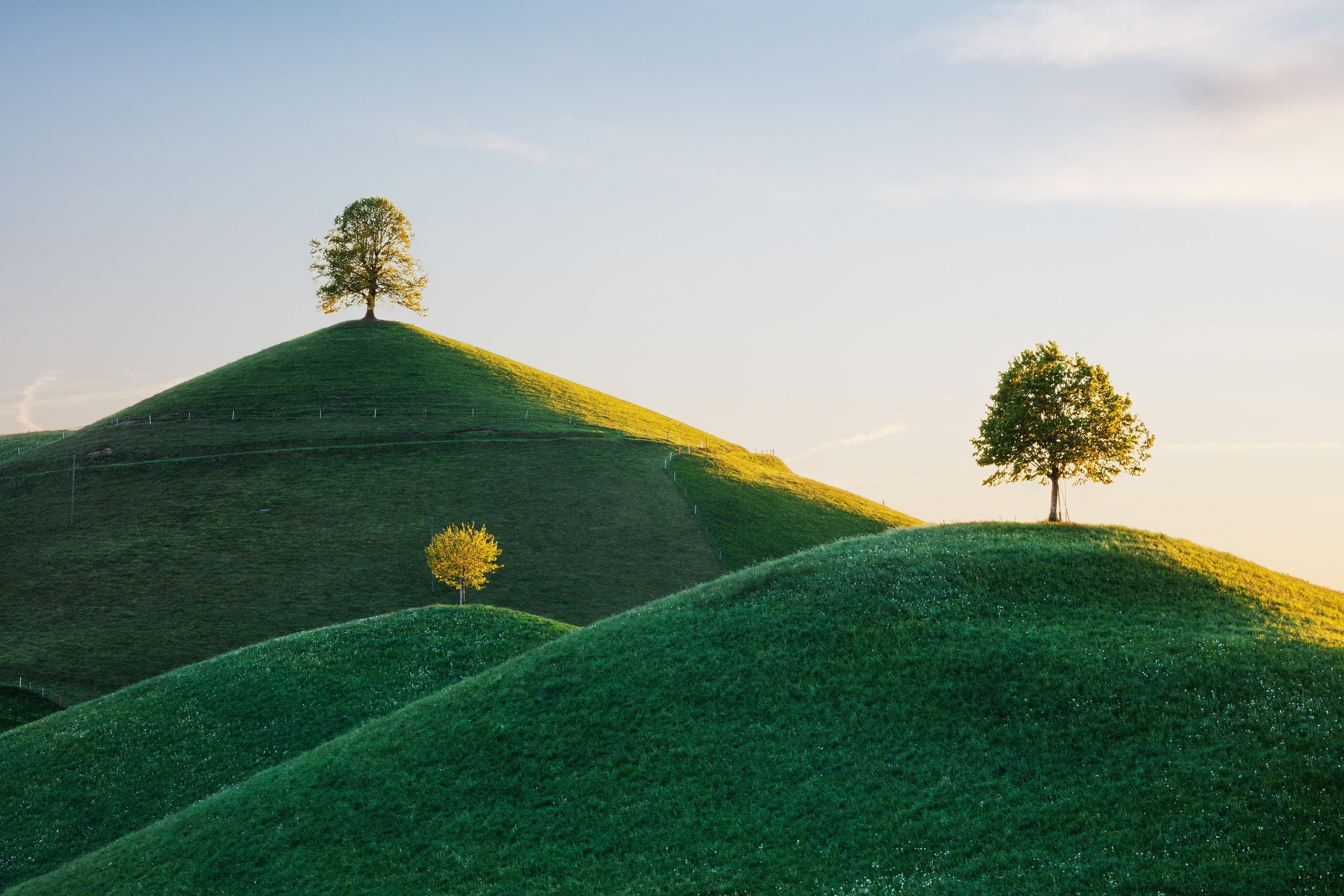 Green hills with trees under a clear sky HD Wallpaper