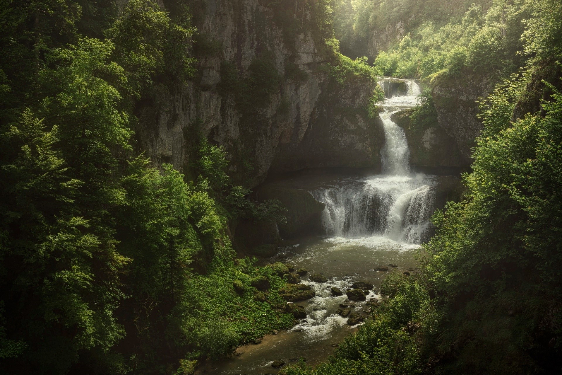 Waterfall cascading through a lush green forest HD Wallpaper