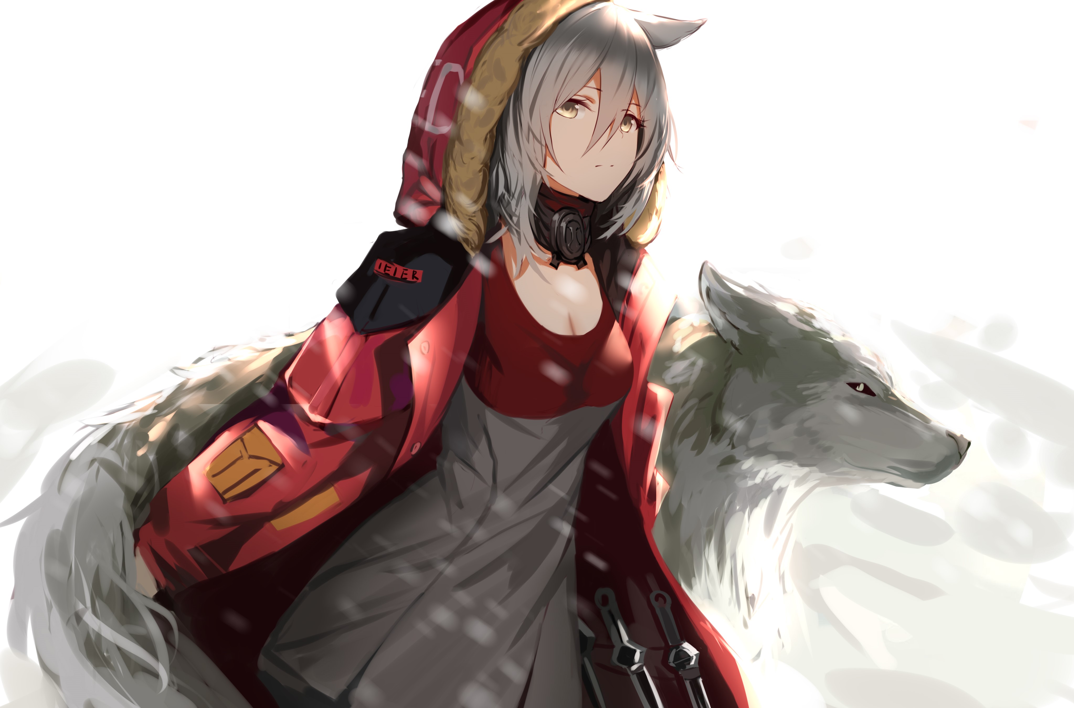 Projekt Red from Arknights with a wolf HD Wallpaper