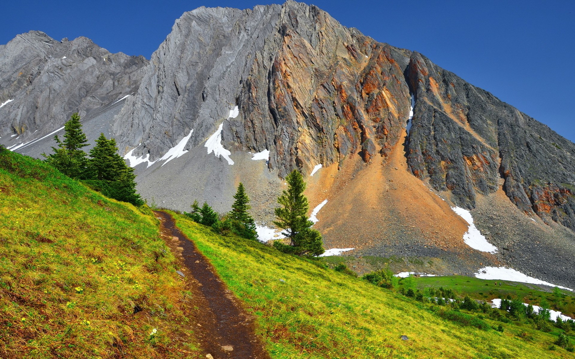 Mountain trail with pine trees and rocky peak HD Wallpaper