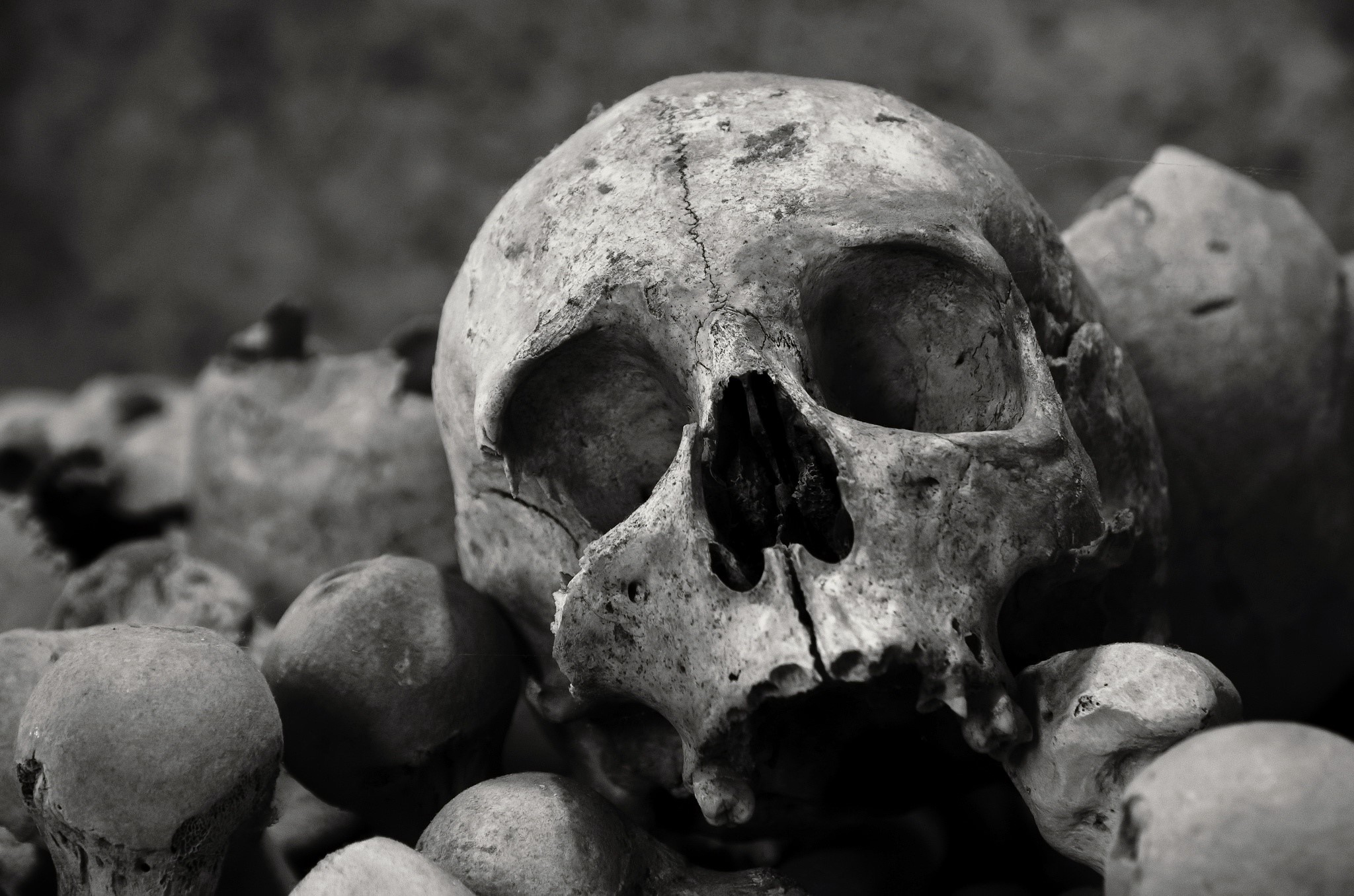 Monochrome close-up of a human skull among bones HD Wallpaper