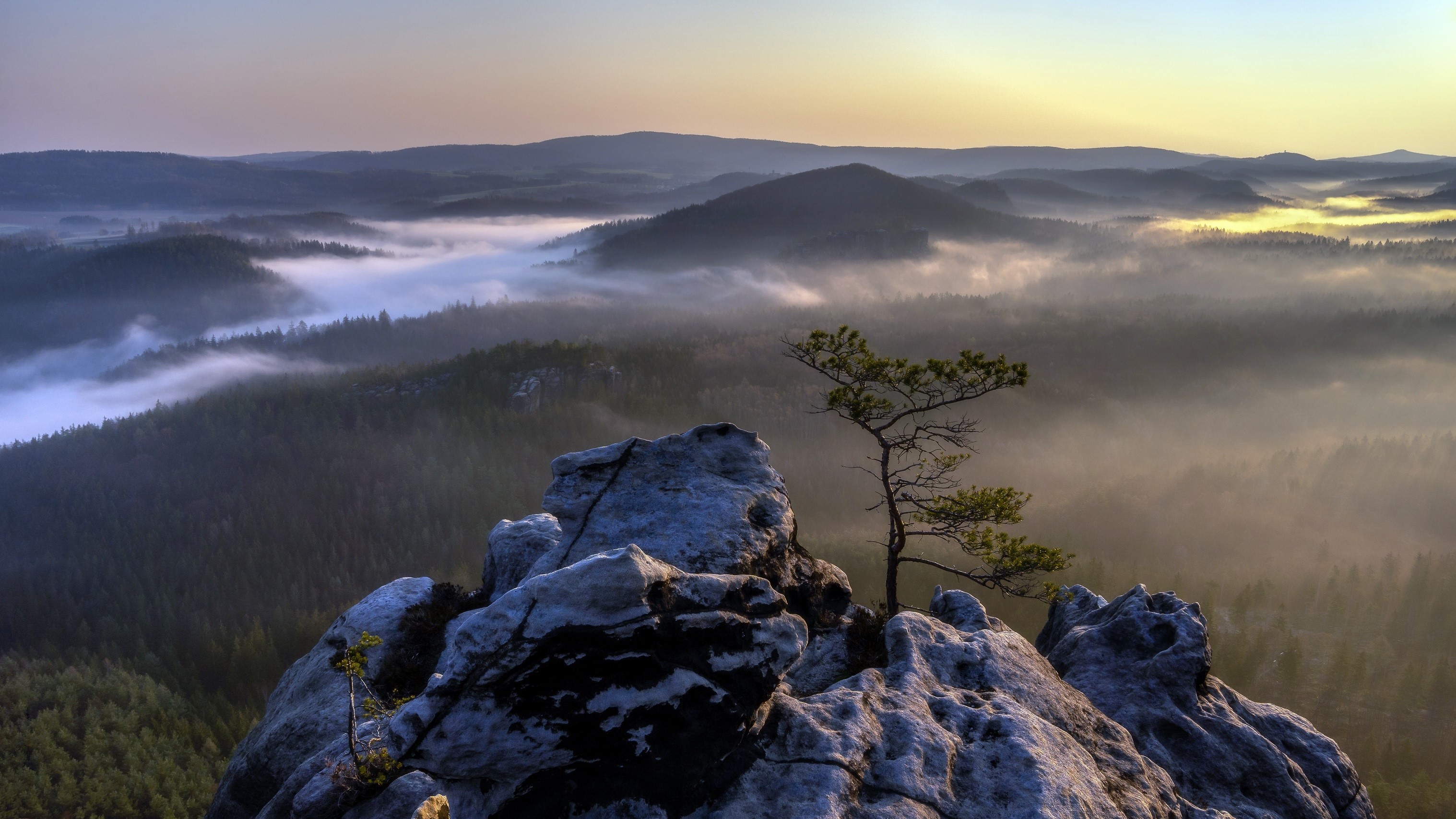 Misty mountain landscape with rock formations and a lone tree HD Wallpaper