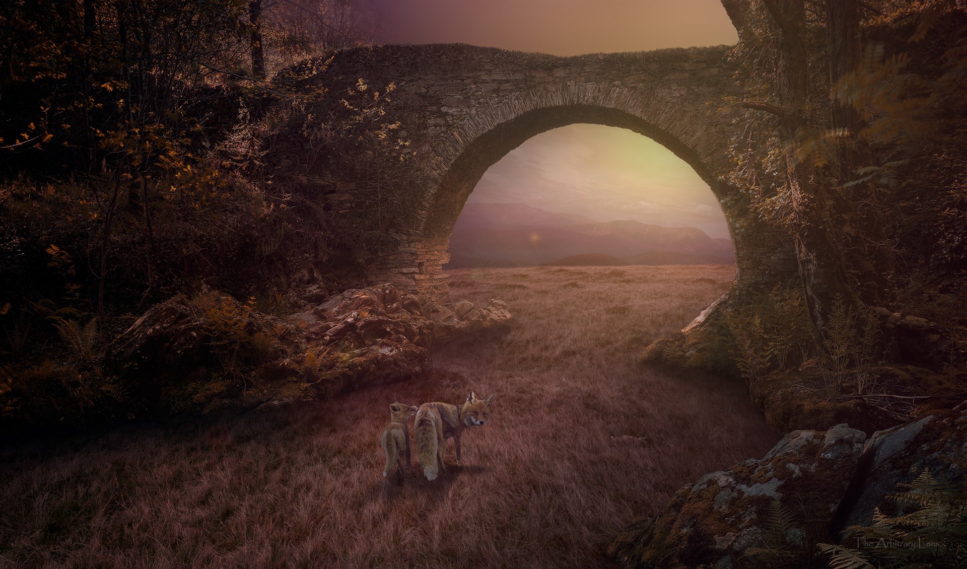 Two foxes under a stone bridge in a meadow HD Wallpaper