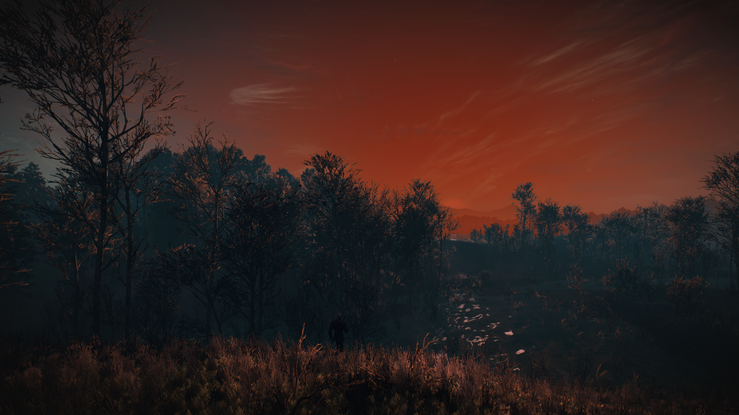 The Witcher 3: Wild Hunt, red sky over forest HD Wallpaper