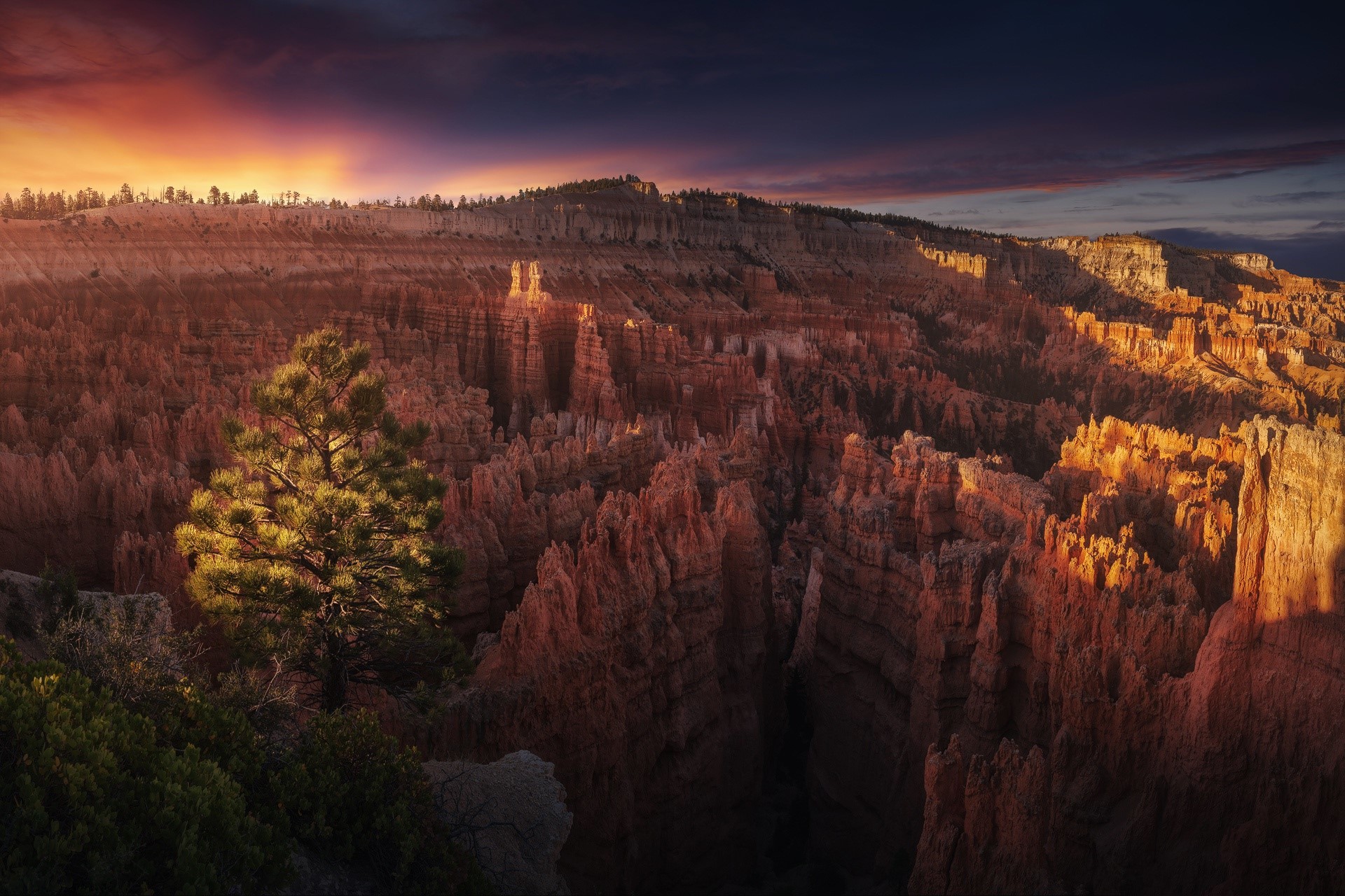 Bryce Canyon National Park landscape at sunset HD Wallpaper