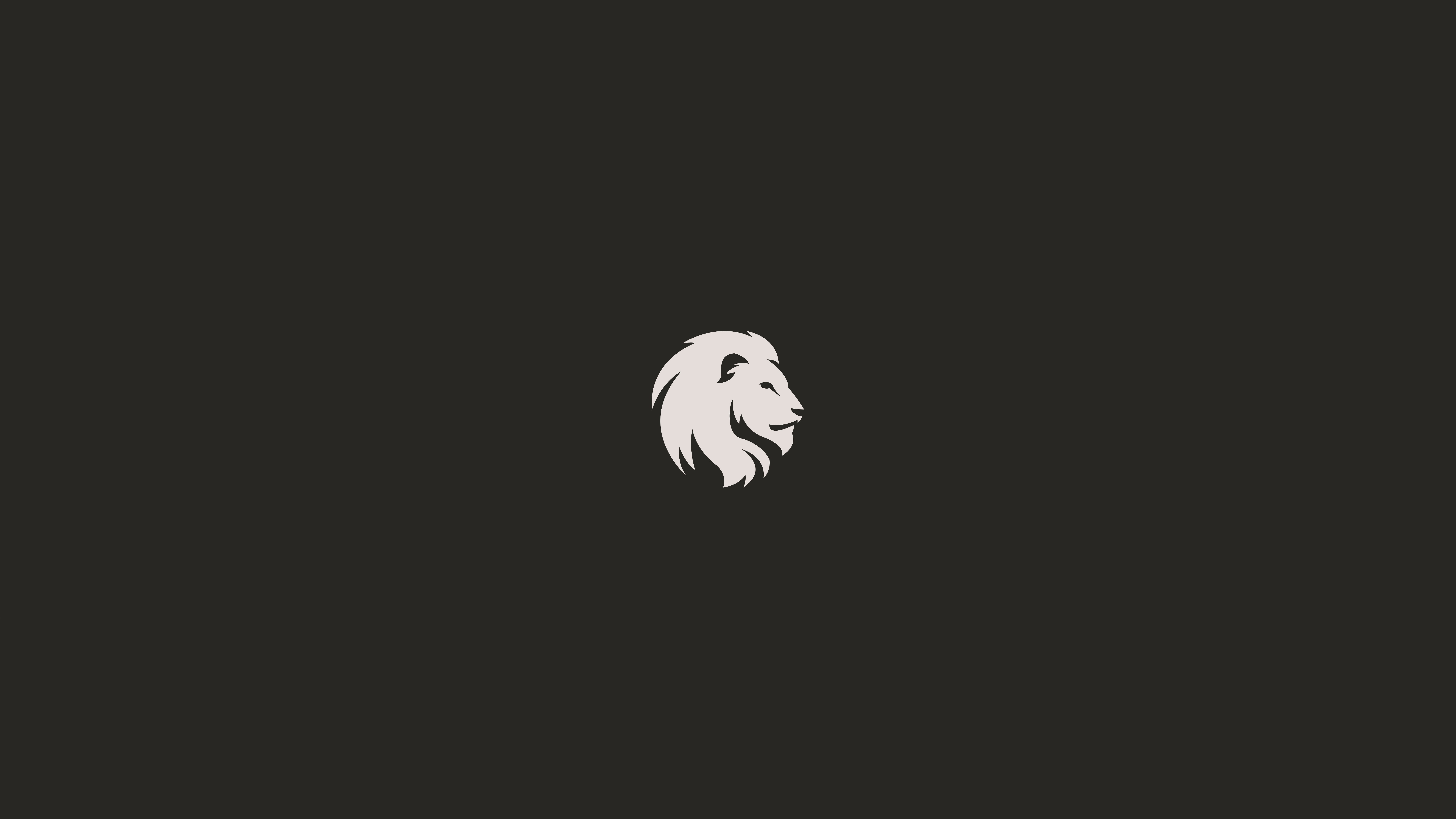 Lion head logo HD Wallpaper