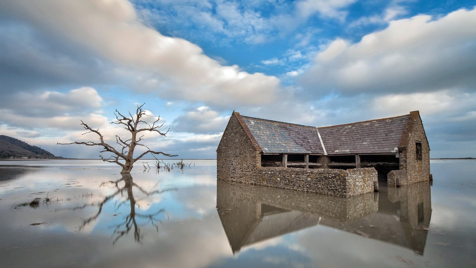 Flooded stone building and dead tree with reflections HD Wallpaper