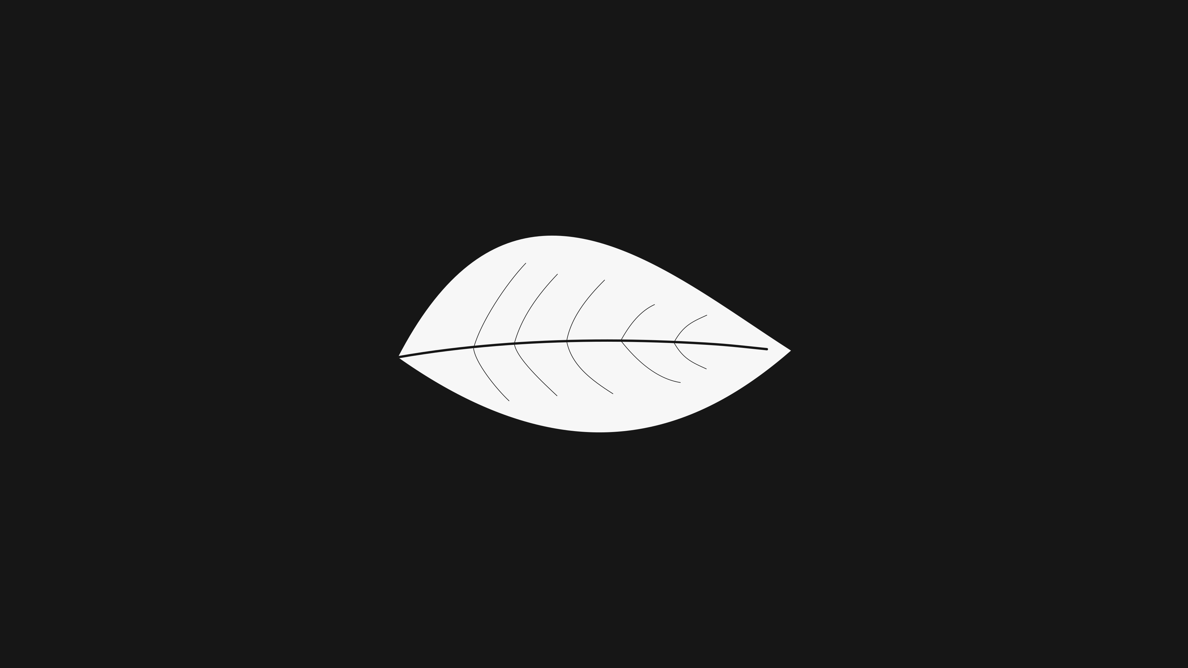 Minimalist white leaf on black background HD Wallpaper